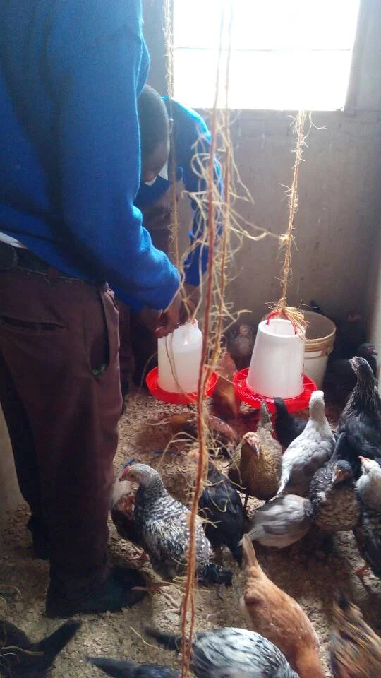 WhatsApp Image 2018-03-01 at 12.07.33.jpeg