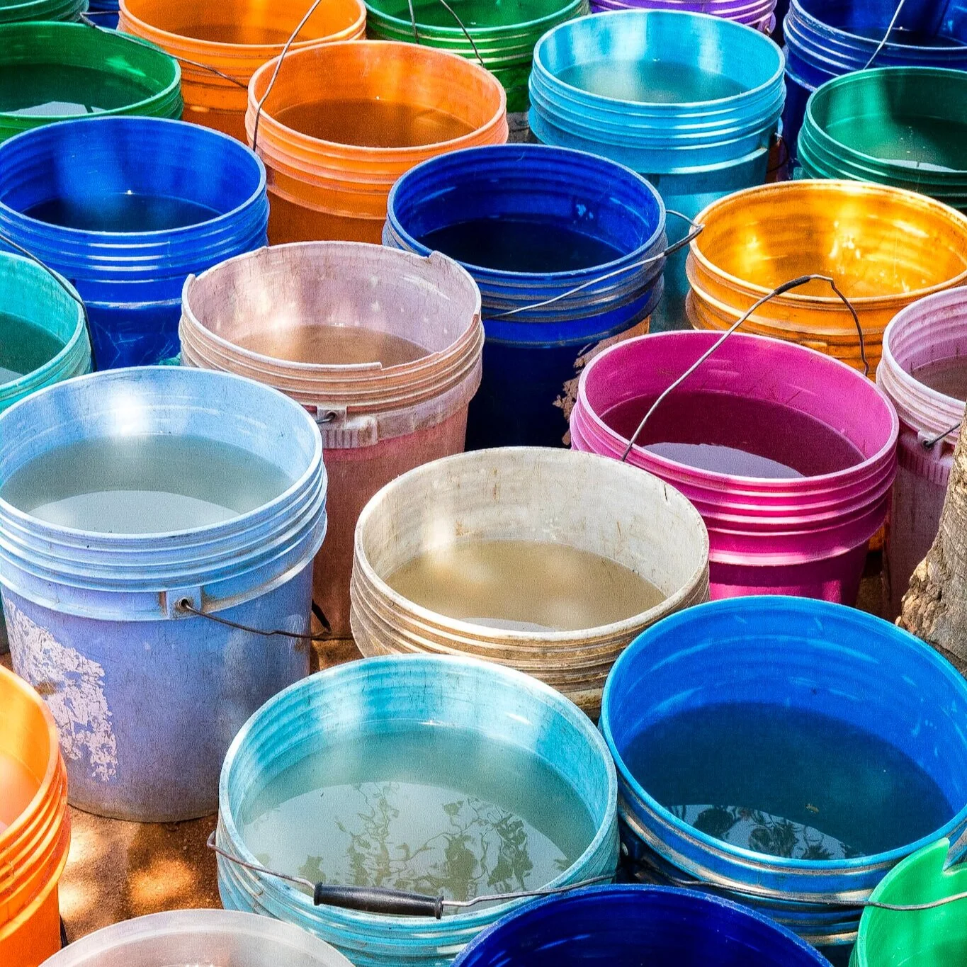 Lyra's programs are temporarily closed, but the Girls in Tanzania need your help more than ever