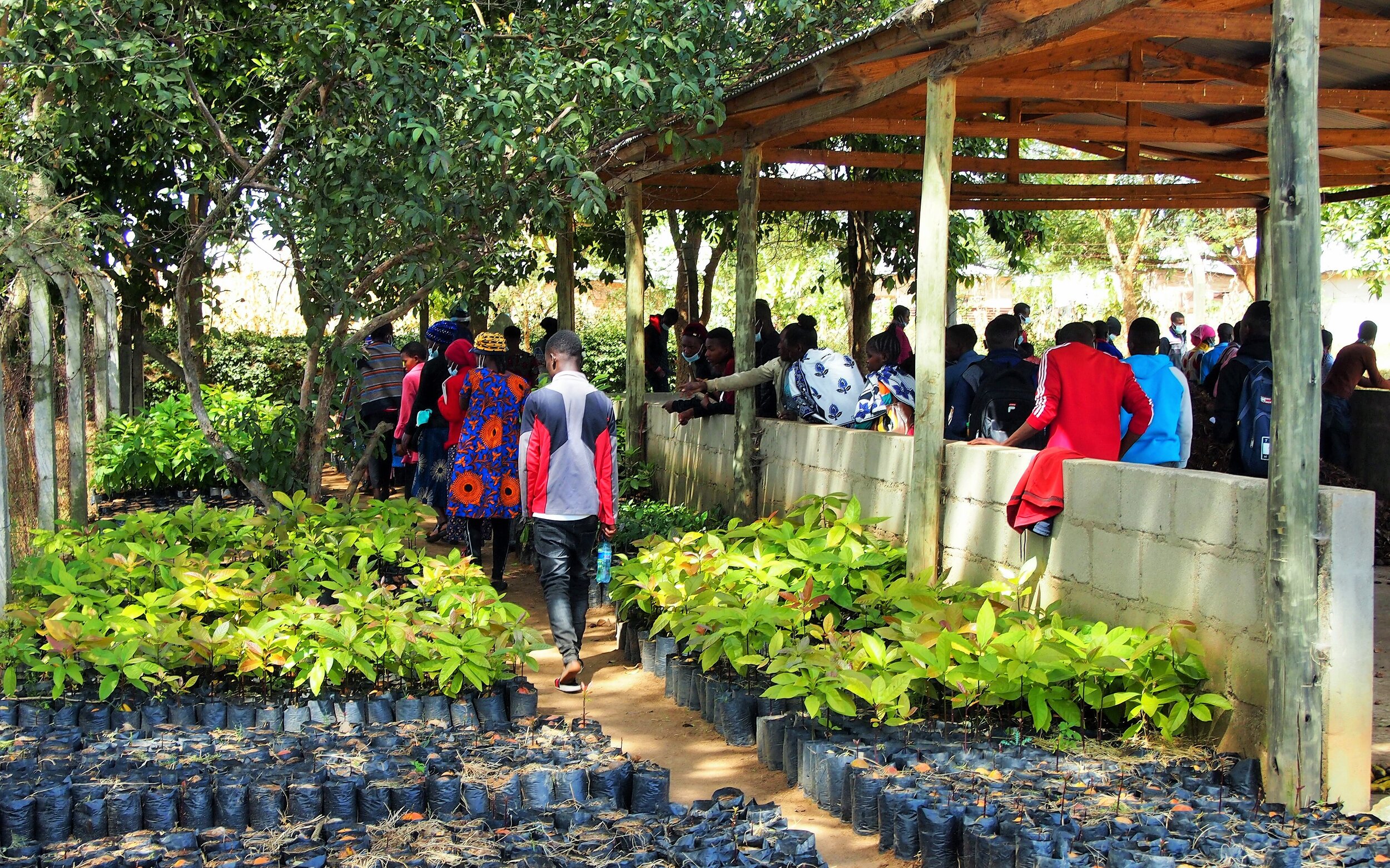 Living a life full of opportunities