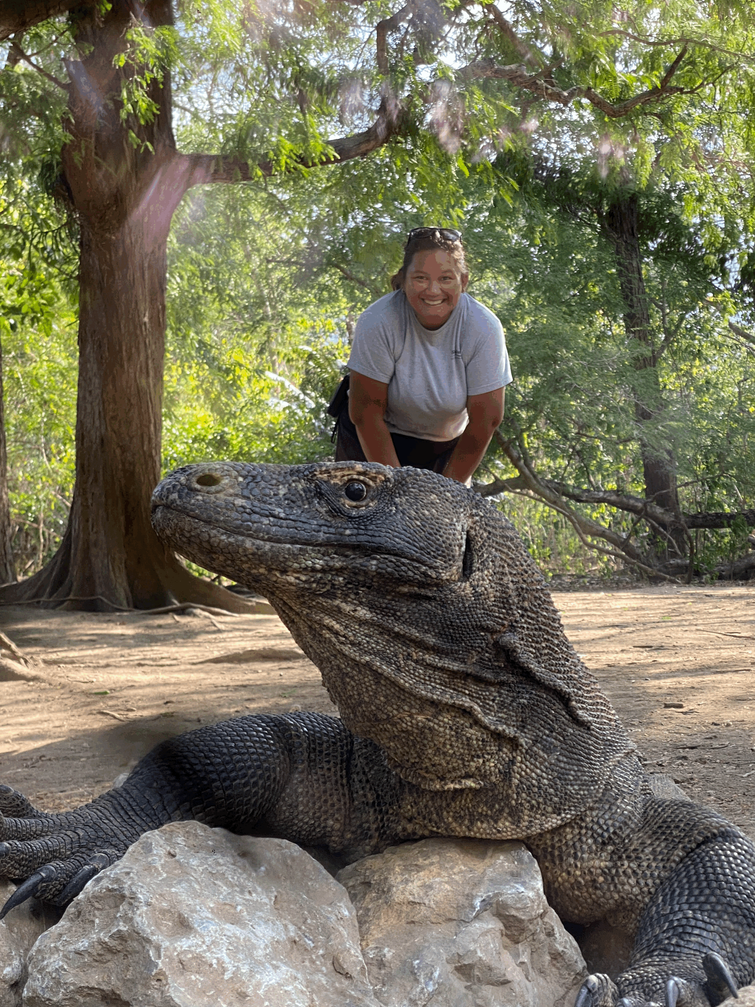 A Week Sailing Between Bali and Labuan Bajo