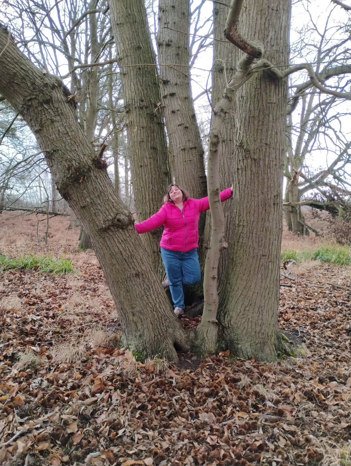 We met some good tree friends at the weekend 🌳🪾
I used to walk just to "get my steps in" 🙄 but now it brings me so much joy to slow down and notice all the little details that nature has to offer. A gnarly tree that invites you to rest a