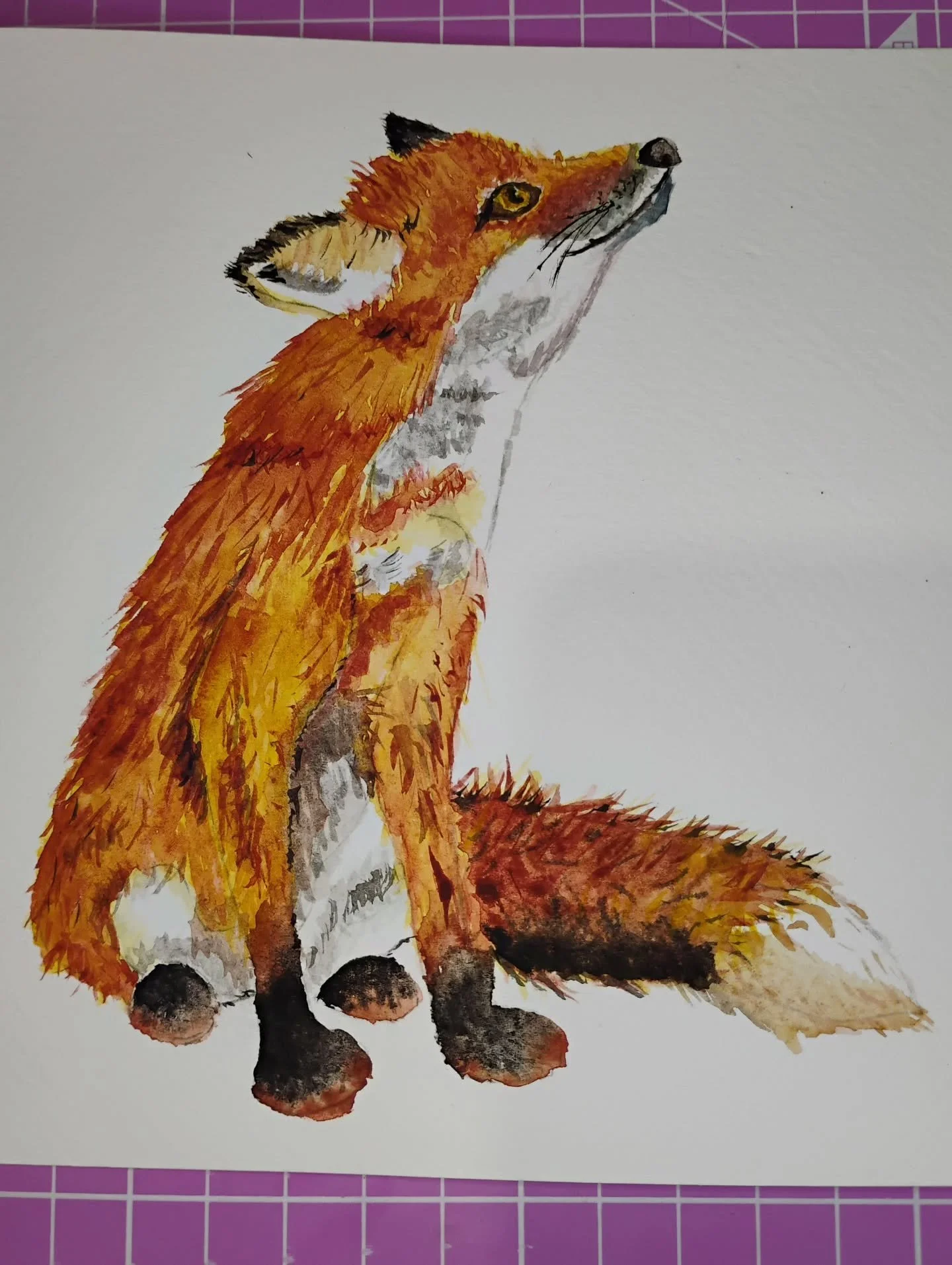 I painted a scruffy fox! He has room for improvement but I'm very pleased since this was probably the first time I've used watercolours since school, and my first time ever using them properly!

I used a kit from @lovecountryuk 

#watercolourart #fox