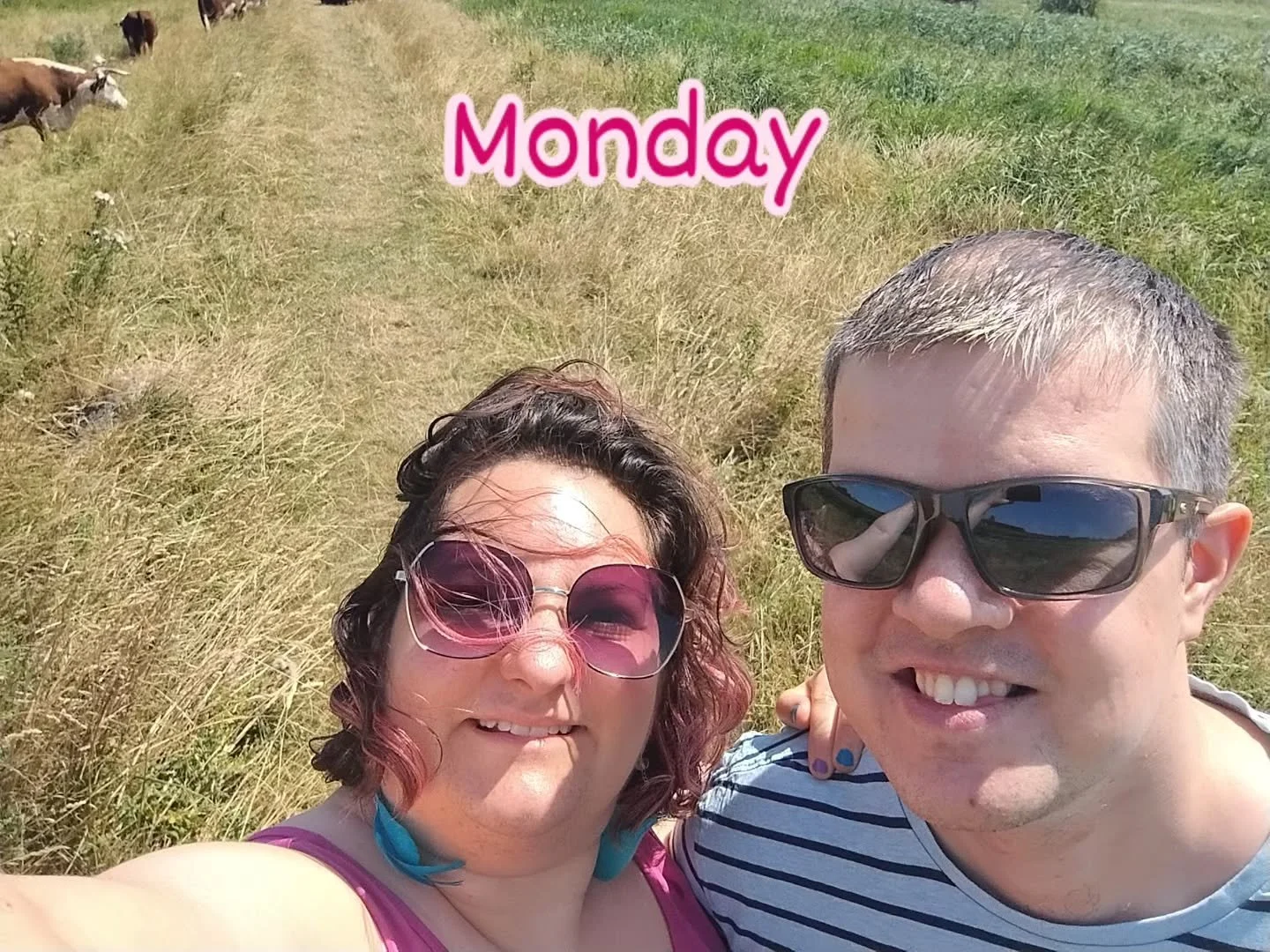 Our week in Norfolk

Monday - we swapped a service station break for a walk around an RSPB reserve where we met some friendly cows

Tuesday - Mostly enjoyed the view from our loft accommodation, did some reading and enjoyed a pub lunch 

Wednesday - 