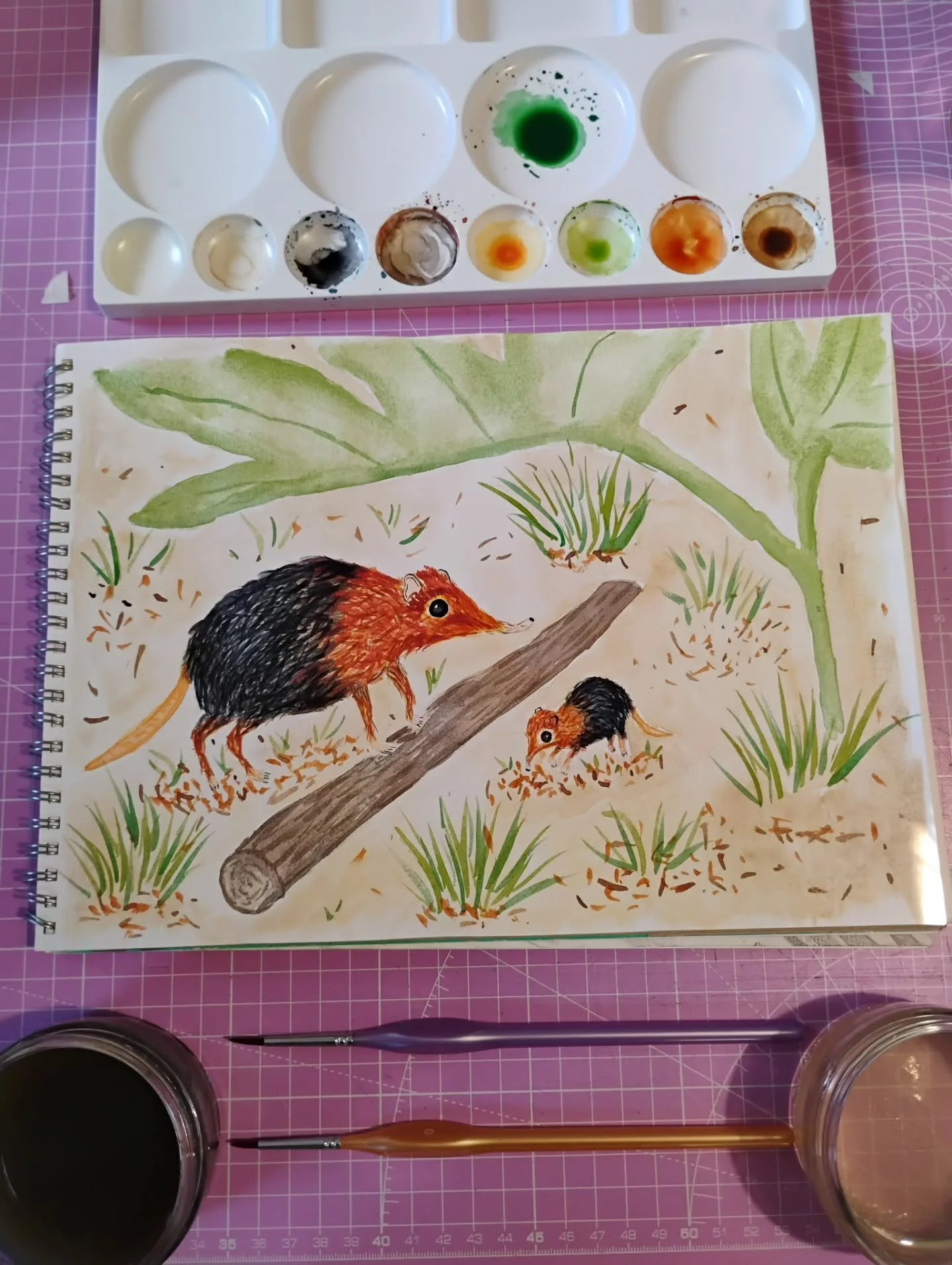A painting inspired by our recent trip to @hertfordshirezoo 

I was really excited to see the black and rufous sengis (also known as elephant shrews). Their enclosure was full of places for them to hide which they took full advantage of especially wh