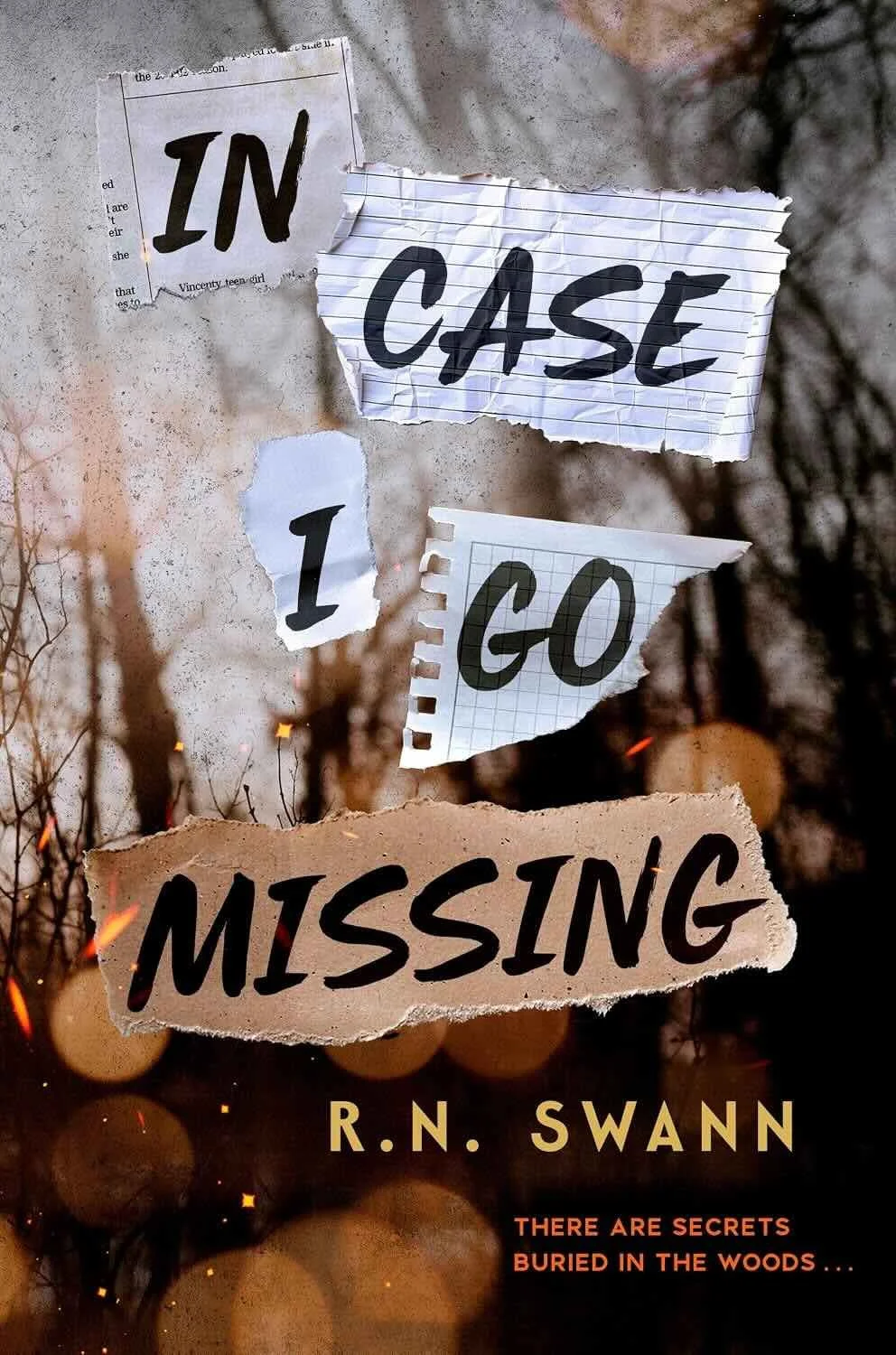 In Case I Go Missing by RN Swann