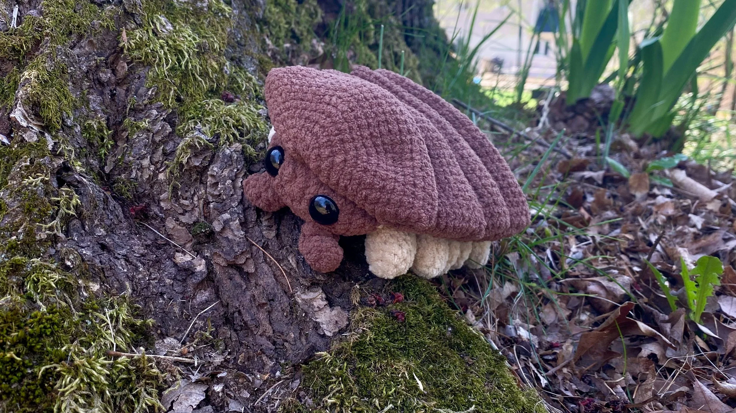 The Rolly Polly Sentinel: A Handheld Forest Familiar