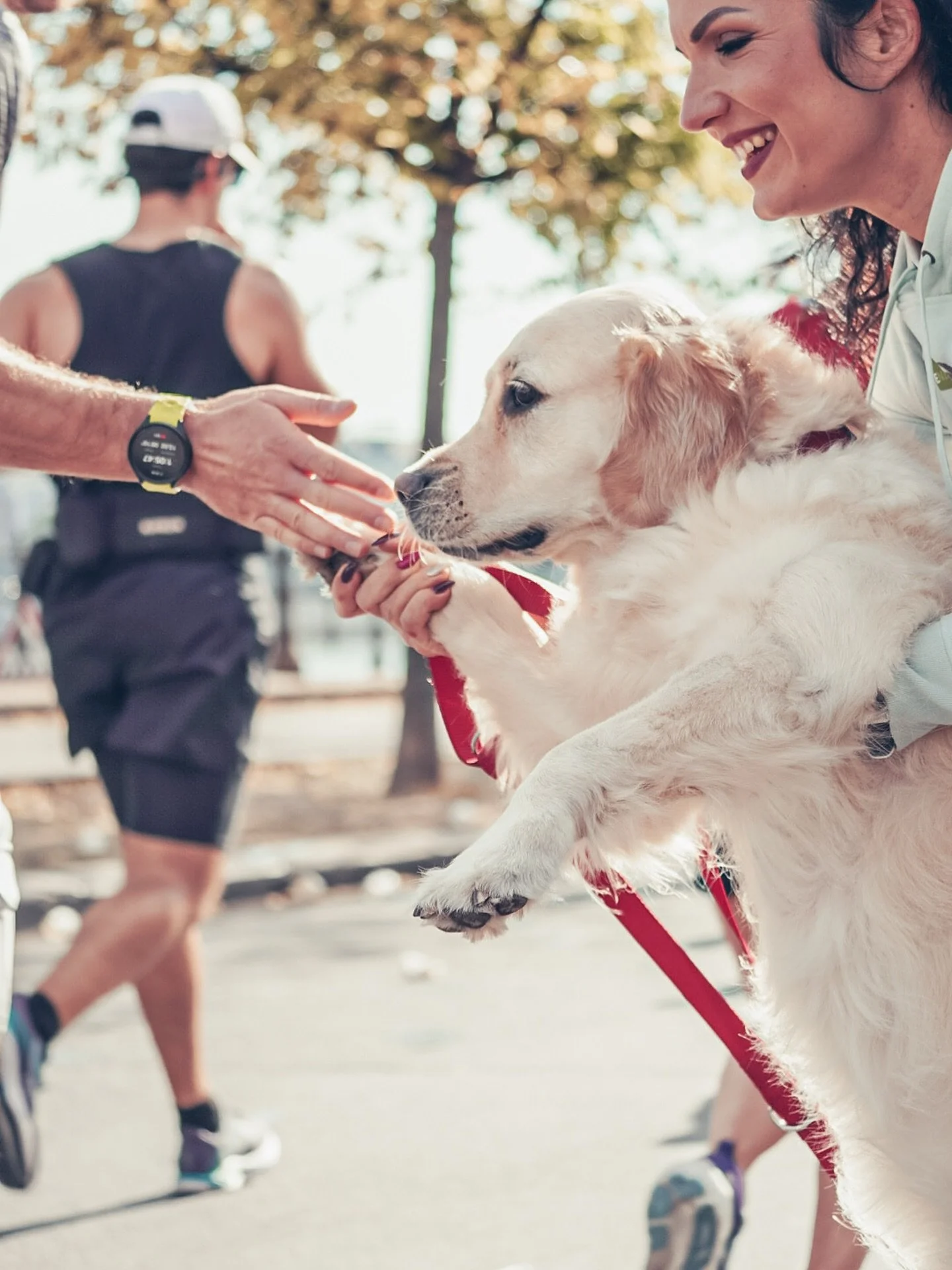 🐶 Un check-patte sur le marathon de Budapest ?
On dit oui &agrave; la mignonnerie du jour 💜
Un moment simple, doux, capt&eacute; comme il faut 📸

Tu veux ce genre d&rsquo;images ? Parlons-en 💌

#madameagency #mignonnerie #marathondebudapest #crea