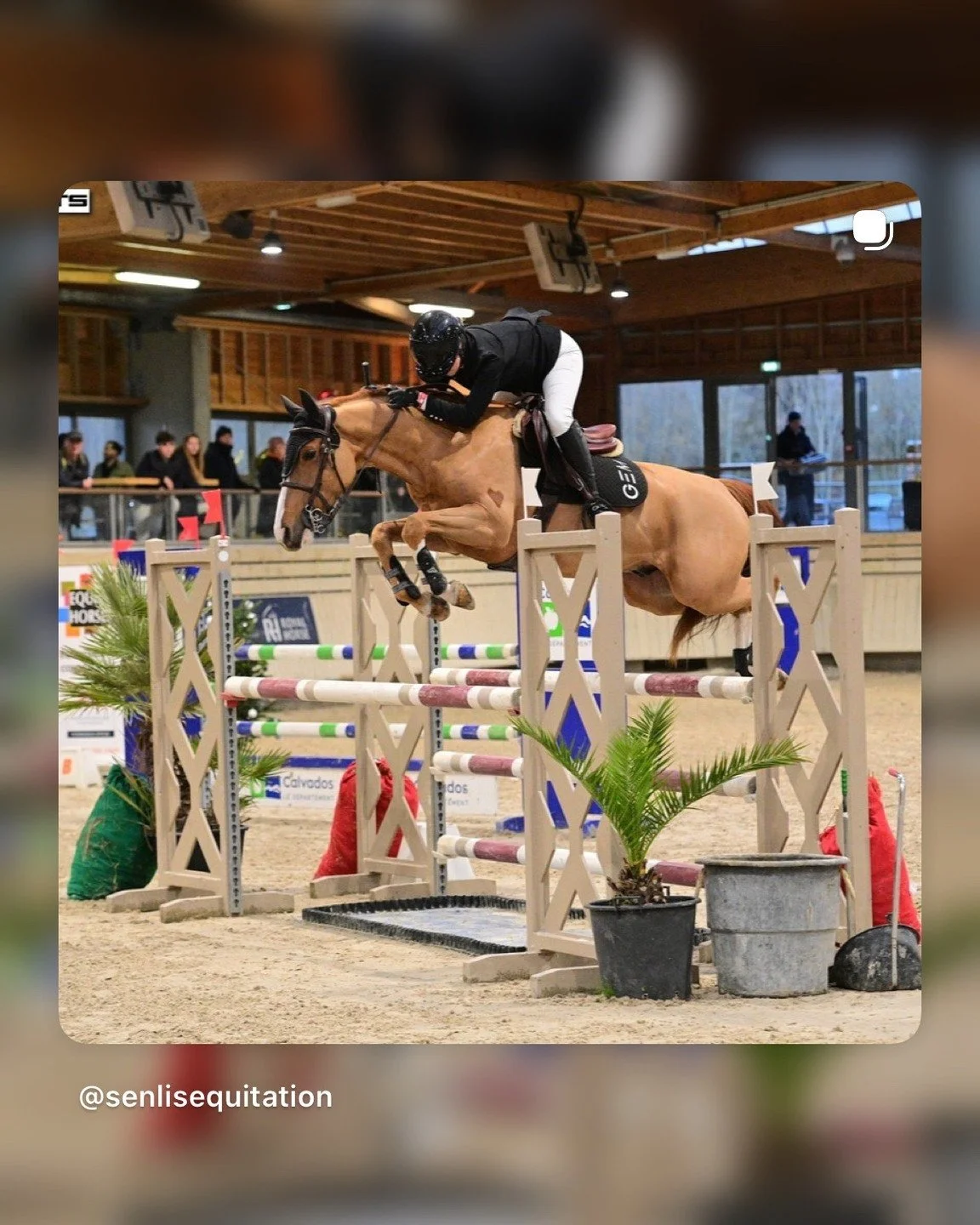 🎉 Nouvelle fonctionnalit&eacute; Insta en test !
👉 Le fond flott&eacute; d&eacute;barque en story !

On adore l&rsquo;effet ? Ou on reste team classique ? 👀
Qu&rsquo;est-ce que vous en pensez ? 💬
⠀
📸 @senlisequitation toujours au top sur les bar