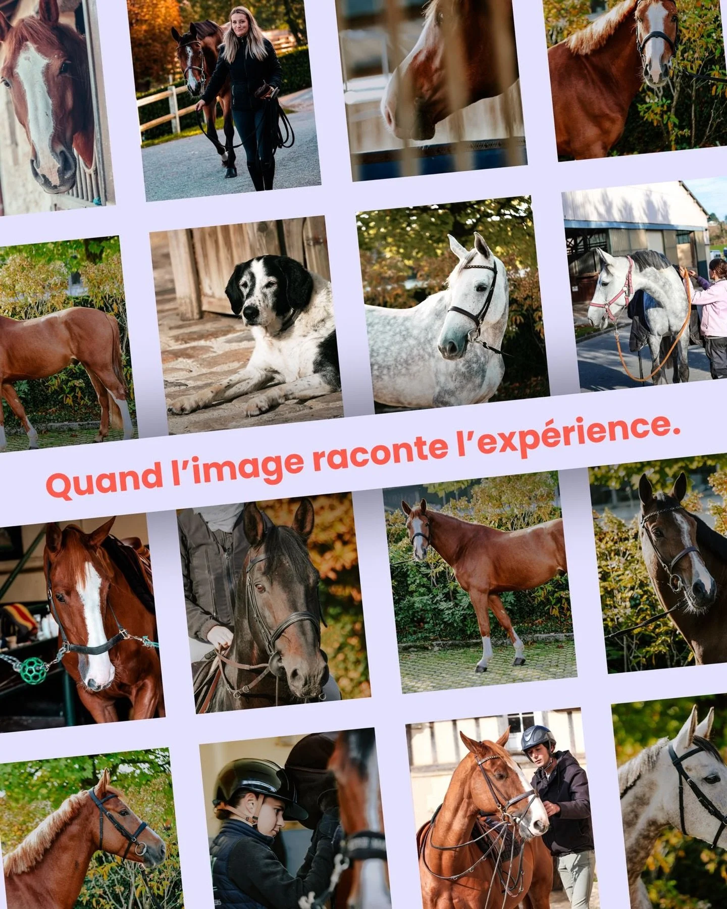 On a captur&eacute; bien plus que des images.
On a captur&eacute; une ambiance.

Ce shooting au @harasdevillers avait un objectif simple.
Montrer le lieu comme il se vit.
Vrai. &Eacute;l&eacute;gant. Vivant.

Merci pour votre confiance.
Merci pour l&