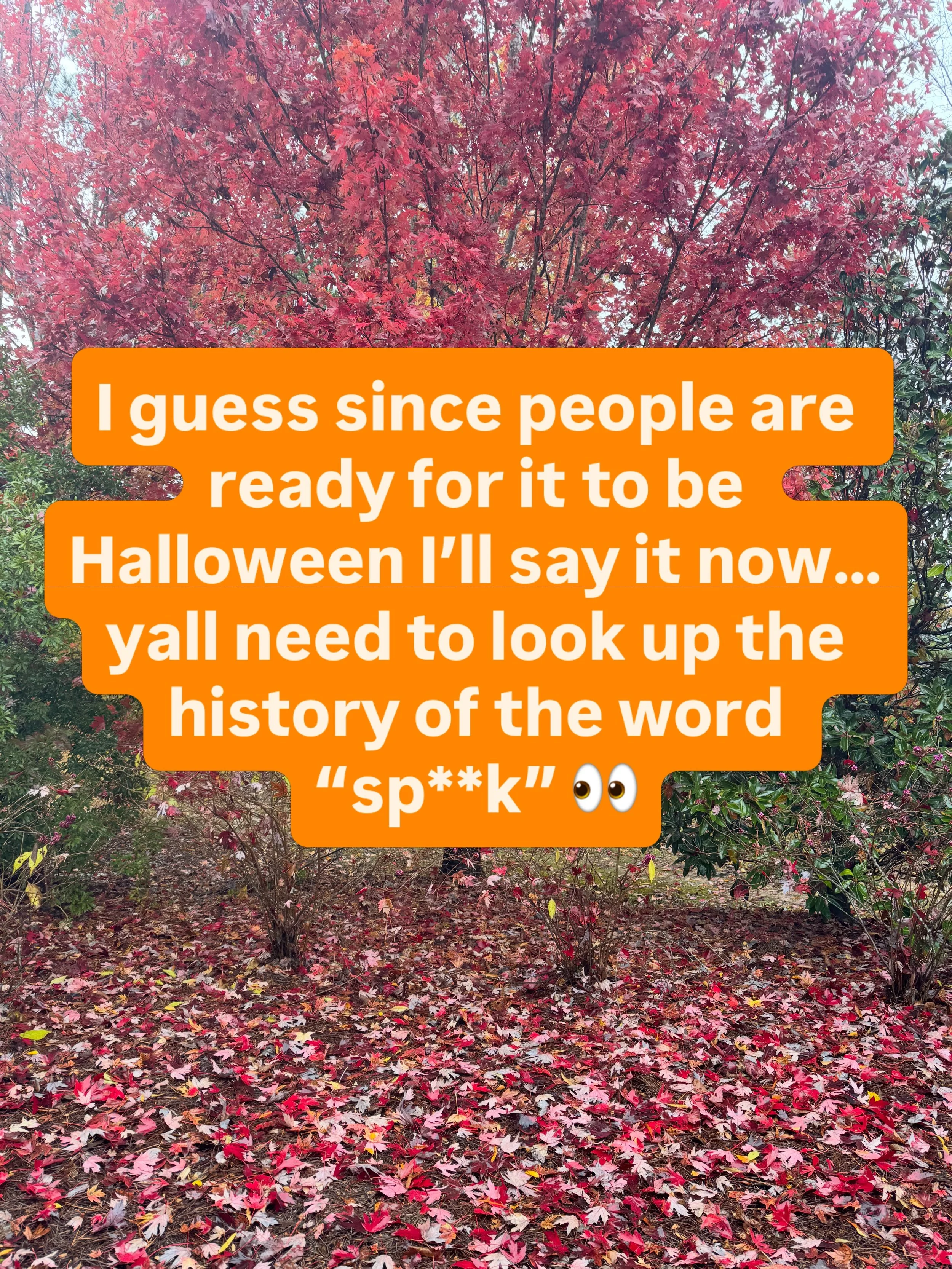 Just saying&hellip;.

And if you&rsquo;re big mad about what you find point it at racism not at me &macr;\_(ツ)_/&macr;