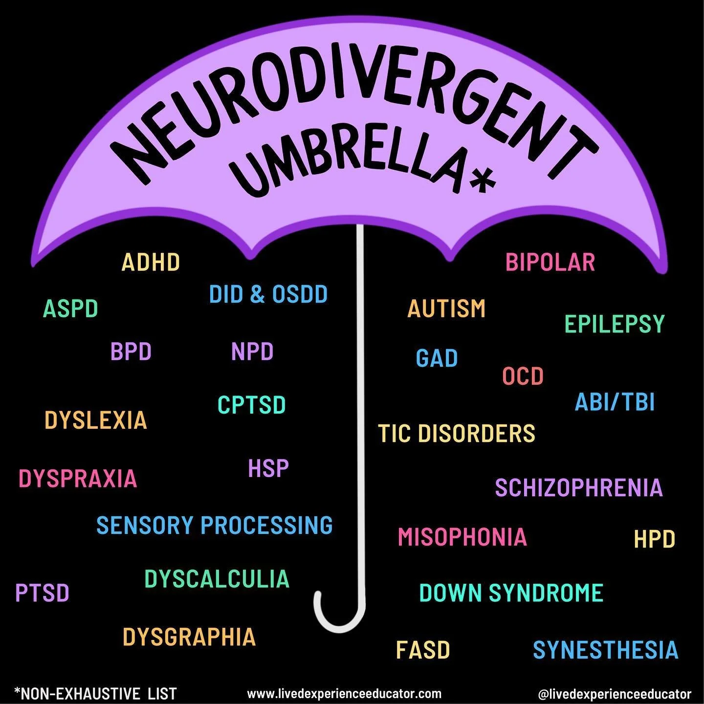 The Neurodivergent Umbrella created by Sonny Jane Wise, Lived Experience Educator