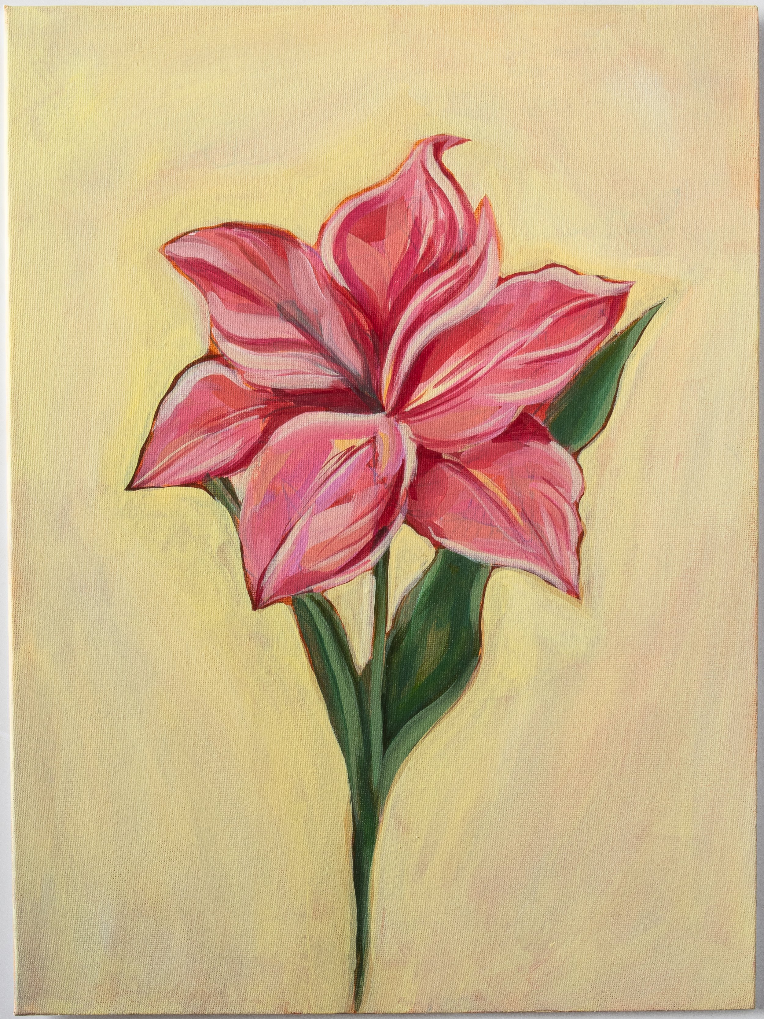 "Hibiscus", 2026