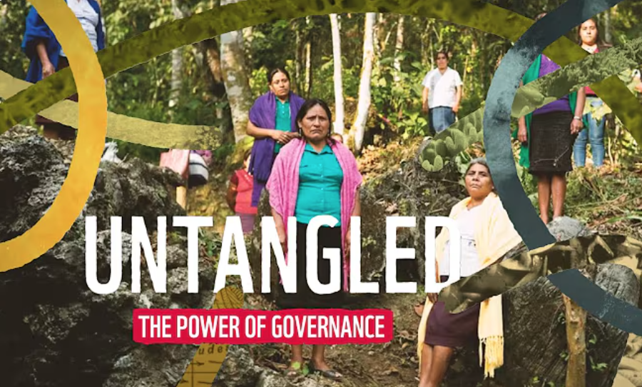 Untangled: The Power of Governance, WWF