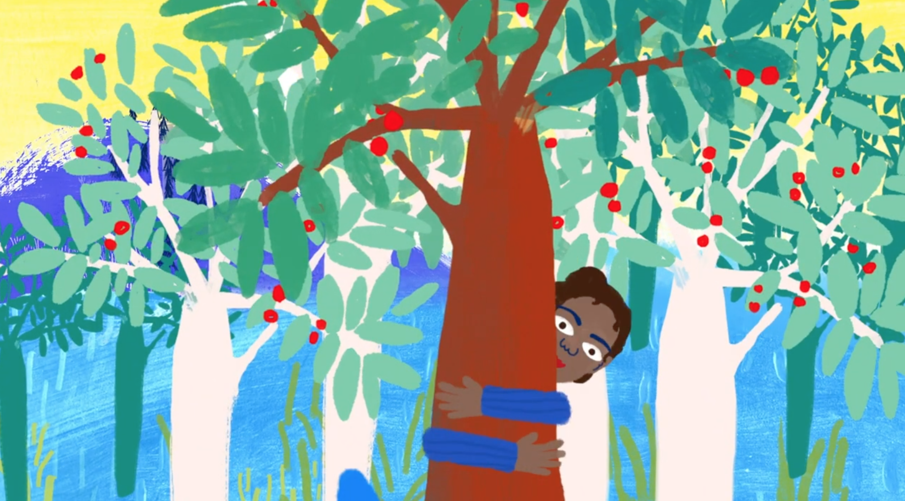 Introduction to Natural Capital Accounting, Natural Capital Ireland