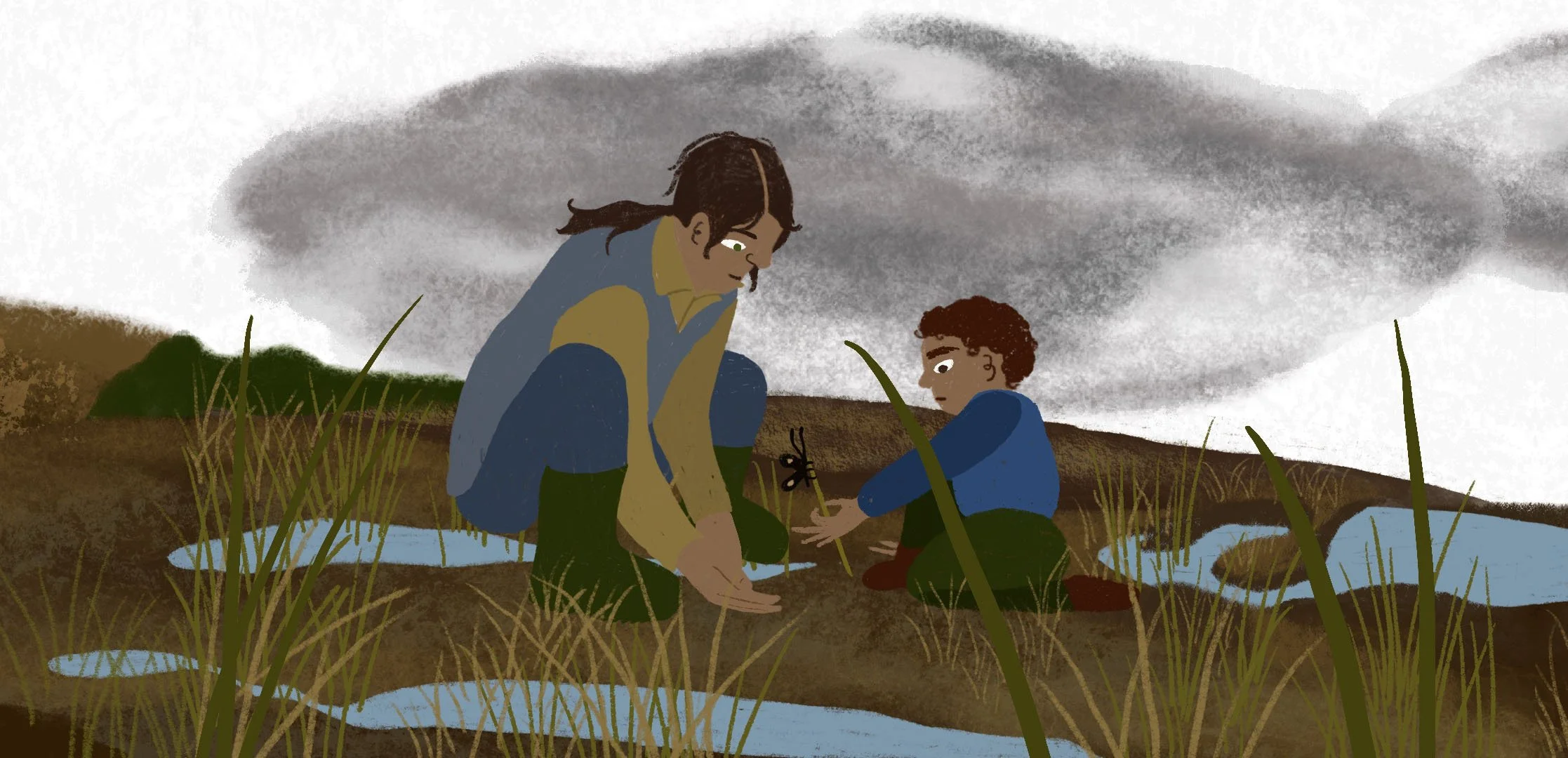 Irish Peatlands, Climate Change and Carbon Sequestration, National Parks and Wildlife Service (NPWS)