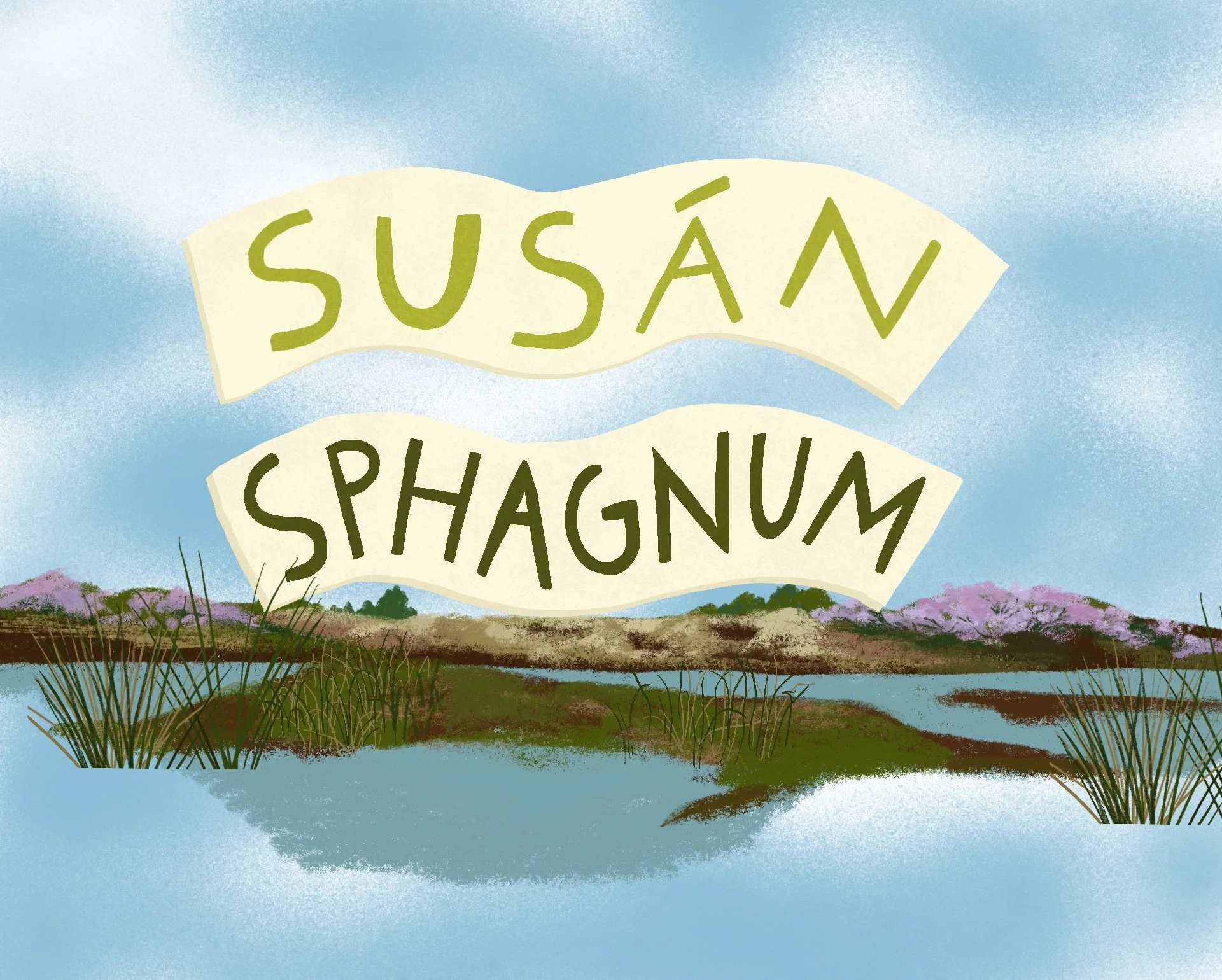 The Biodiversity of Irish Peatlands, National Parks and Wildlife Service (NPWS)