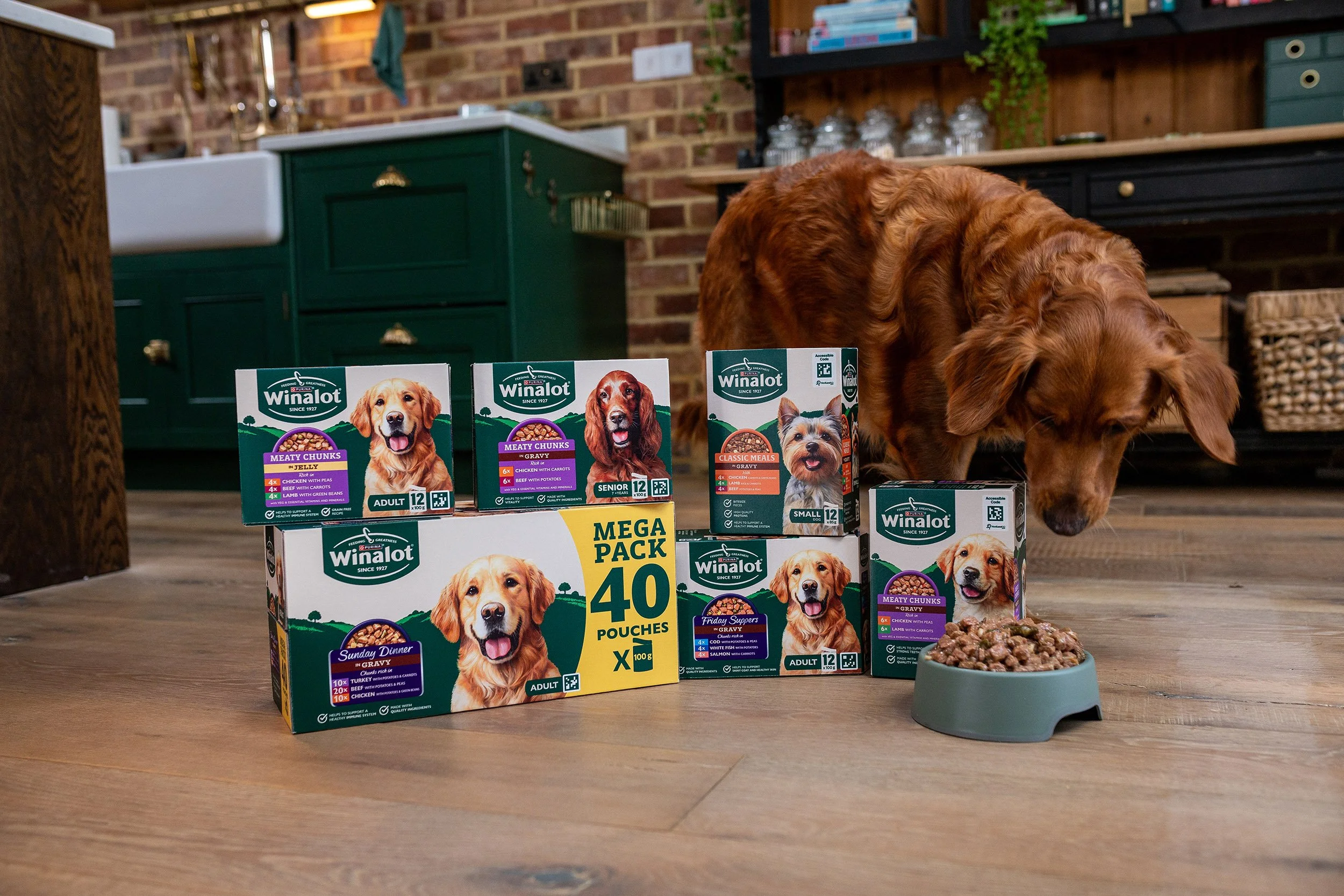 OMERGAASH-0581 OK LR.jpg