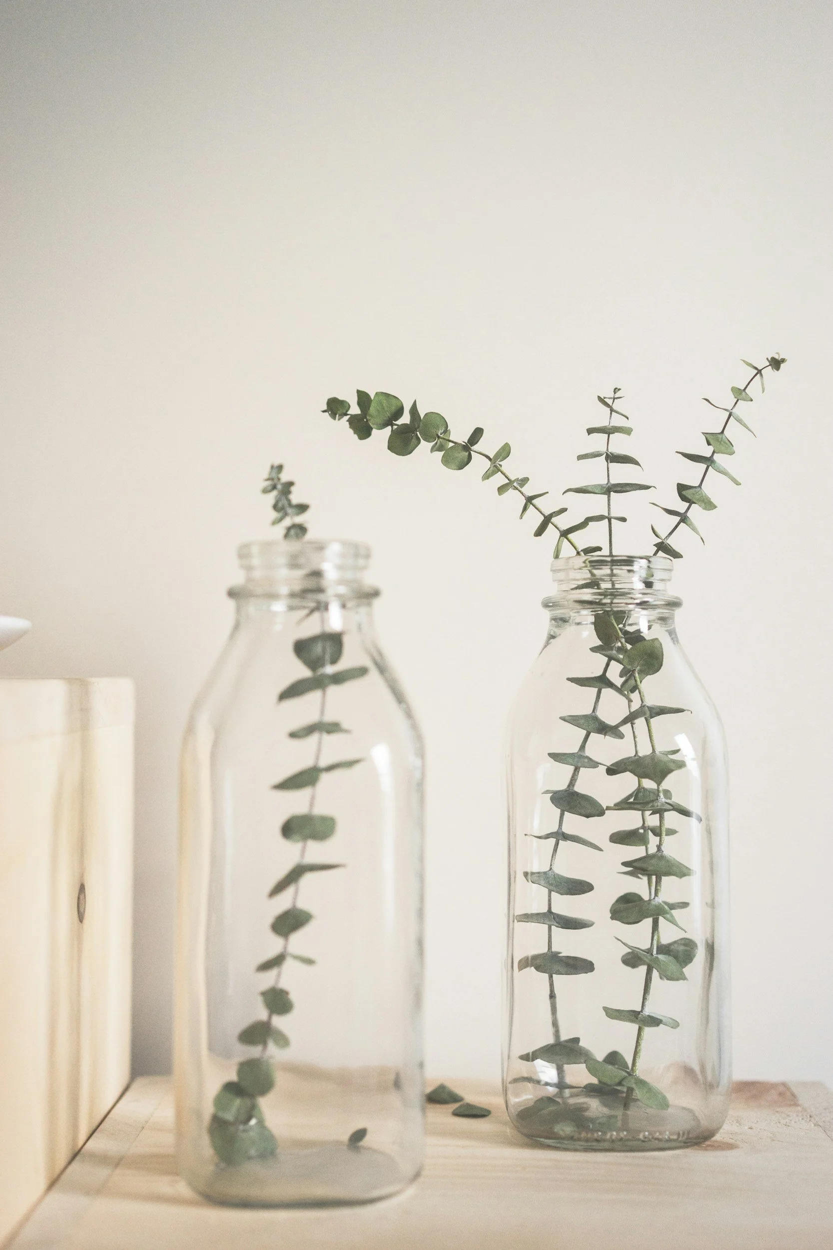 Two glass bottles with green eucalyptus branches on a wooden surface against a white wall.