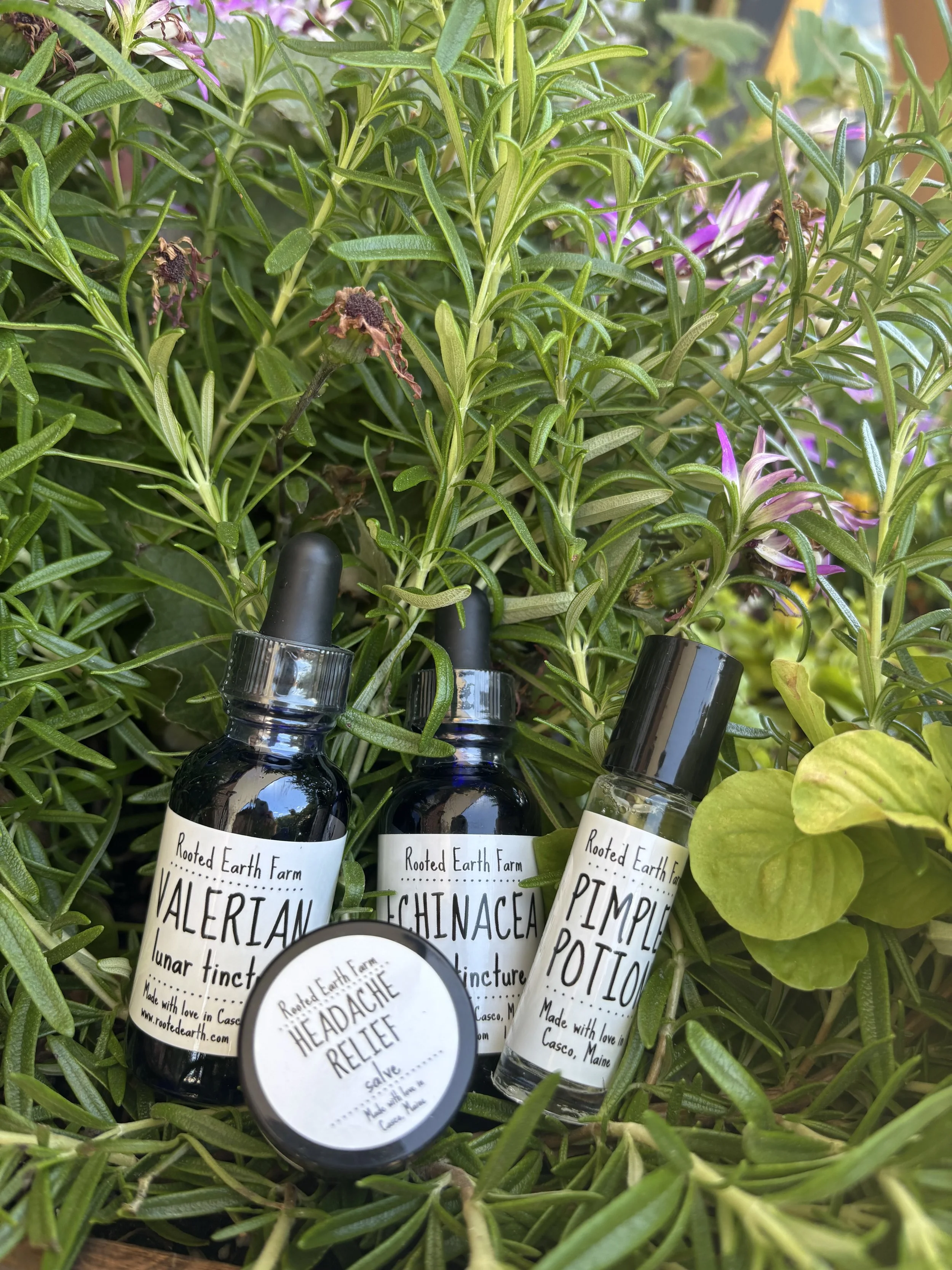 Discover Rooted Earth Farm + Apothecary at Scott &amp; Nancy’s
