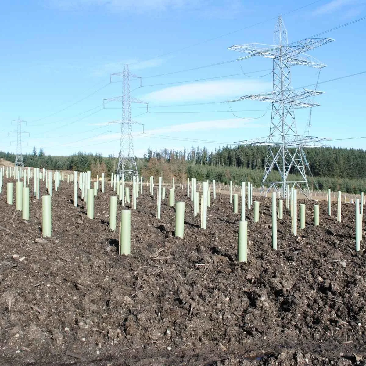 Fetteresso Sub Station Project 2 - ASH.jpg