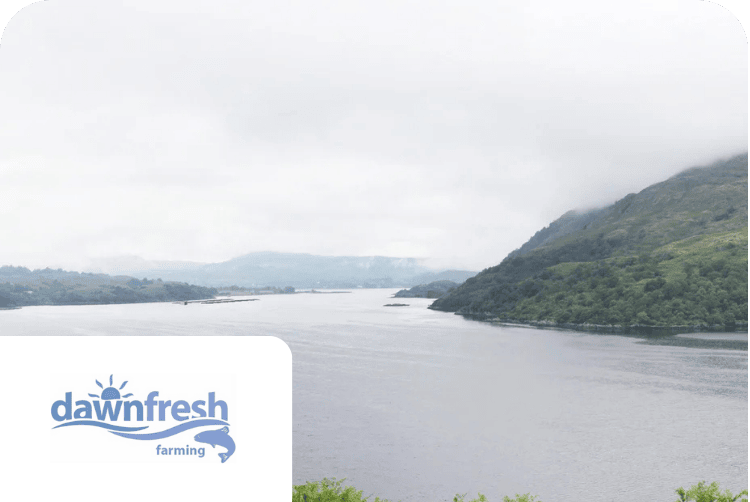 Loch Etive Fish Farms