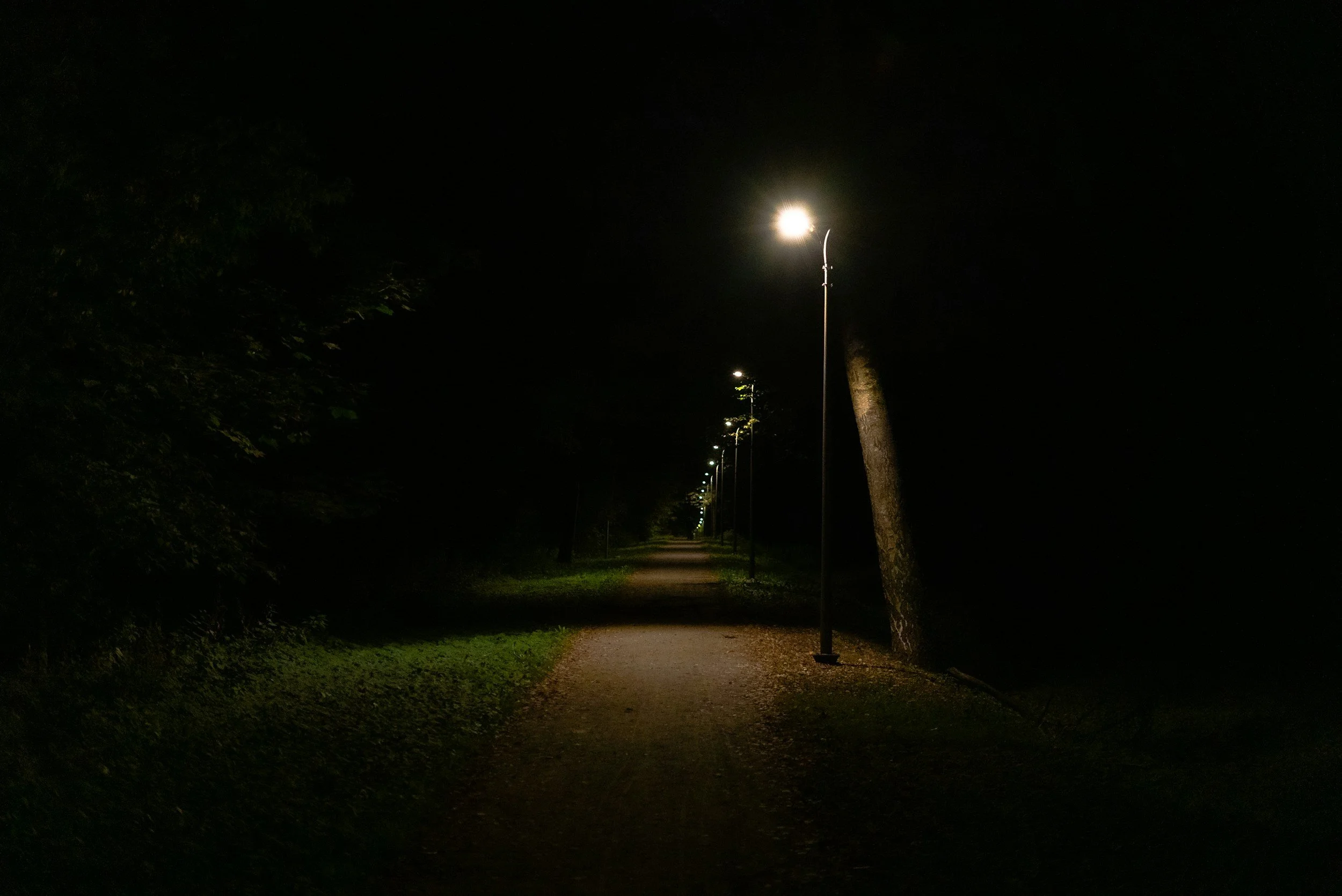 You Don’t Have to See the Whole Way