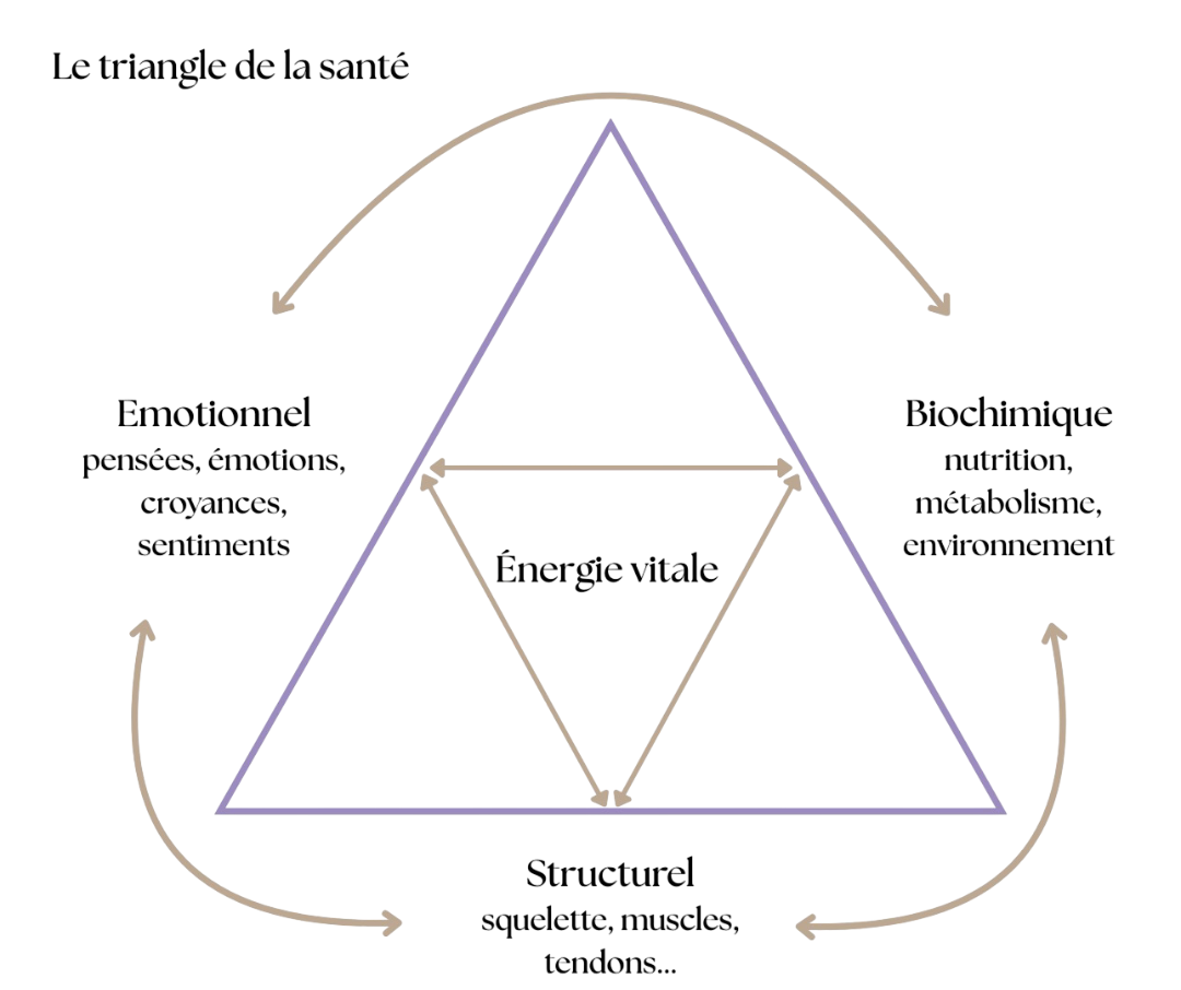 Le triangle de la santé (holistique)