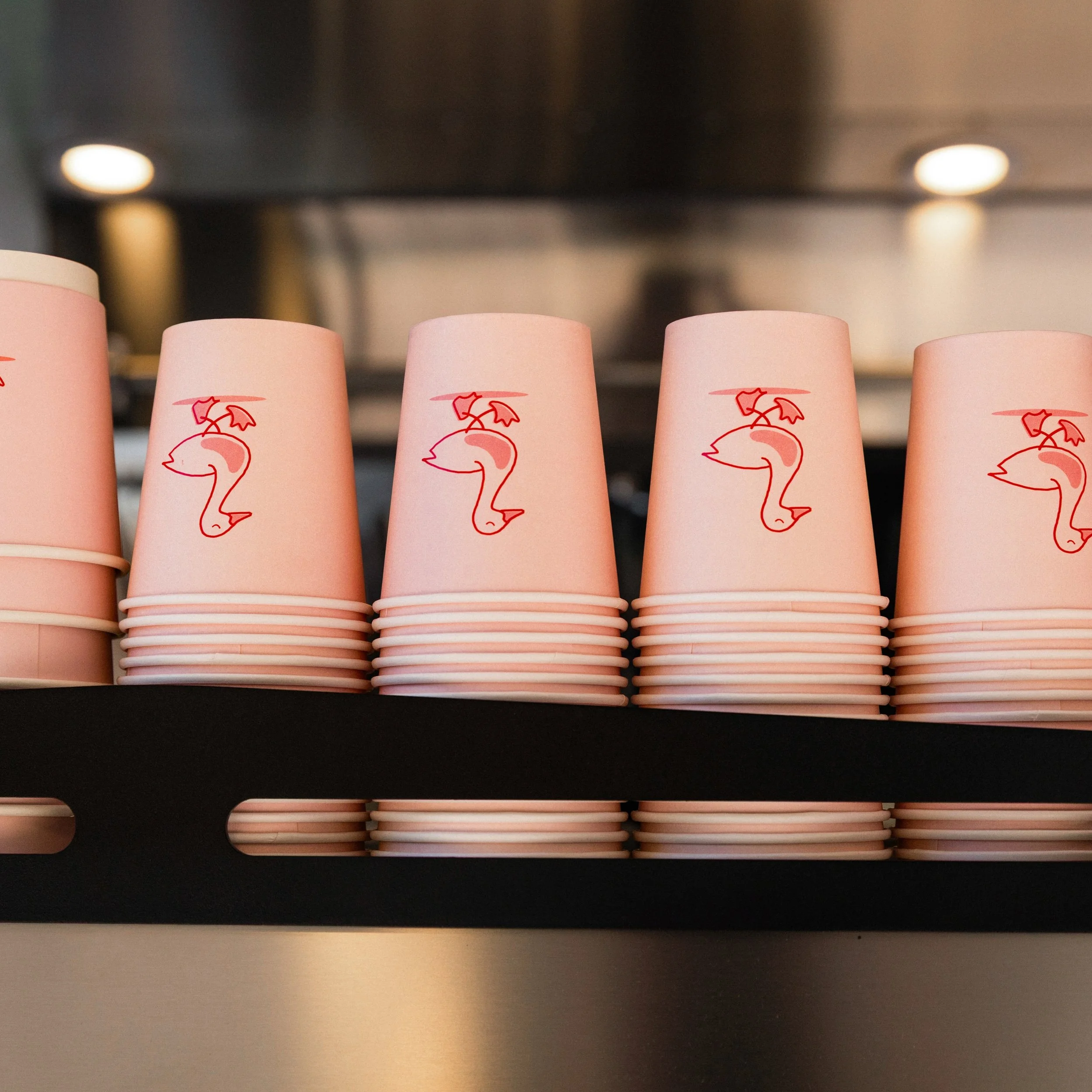 Getting our geese in a row for the weekend ahead - serving up stuffed focaccia, seriously good coffee and ice cream 🍦 ☕️ 

Open from 10am until 5pm everyday!