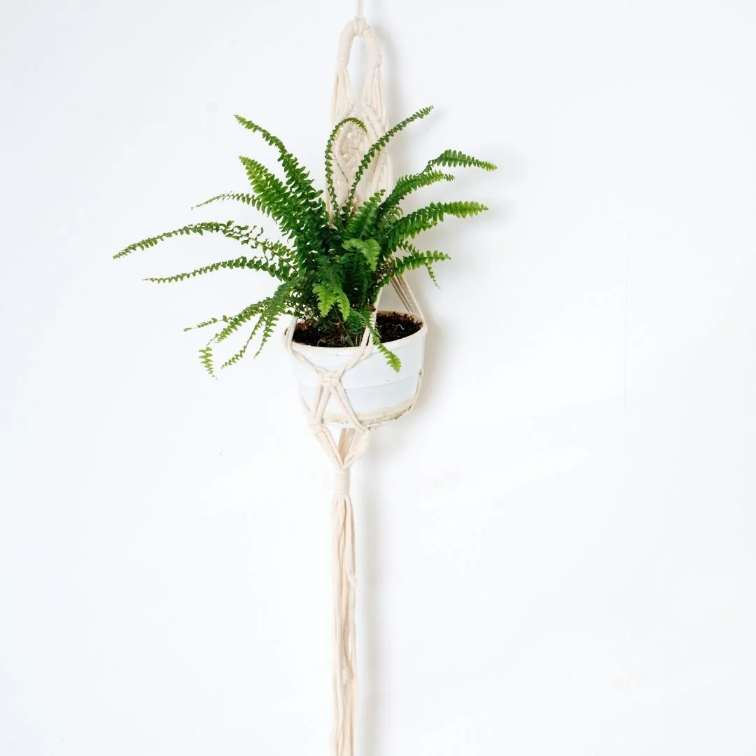  Crochet & Macrame Workshop. 
Learn how to craft yarn into beautiful designs, using wither macrame or crochet skills.
 From 230pp AED. 
 
Popular Searches: New In,
Experiences: Creative,
Experiences: Wellbeing,
Occasion: Socials,
Occasion: Team Wellb
