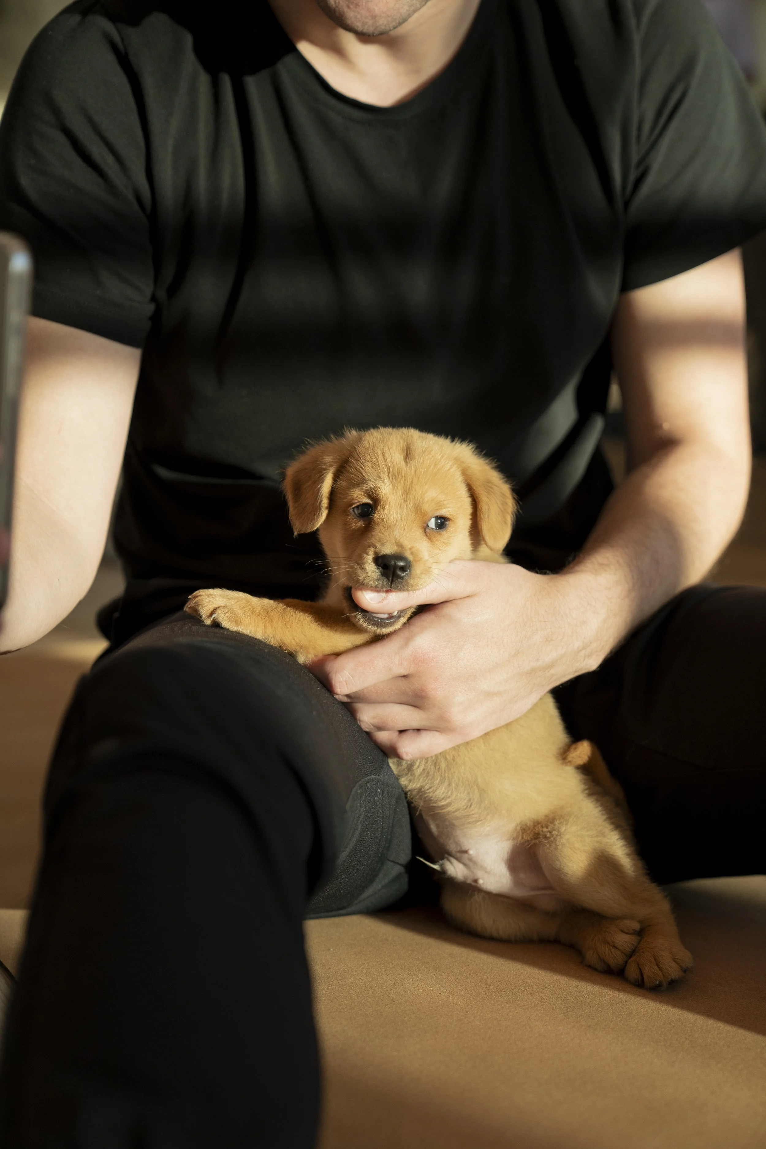 A man holding a tan puppy with floppy ears and dark eyes sitting on the floor.