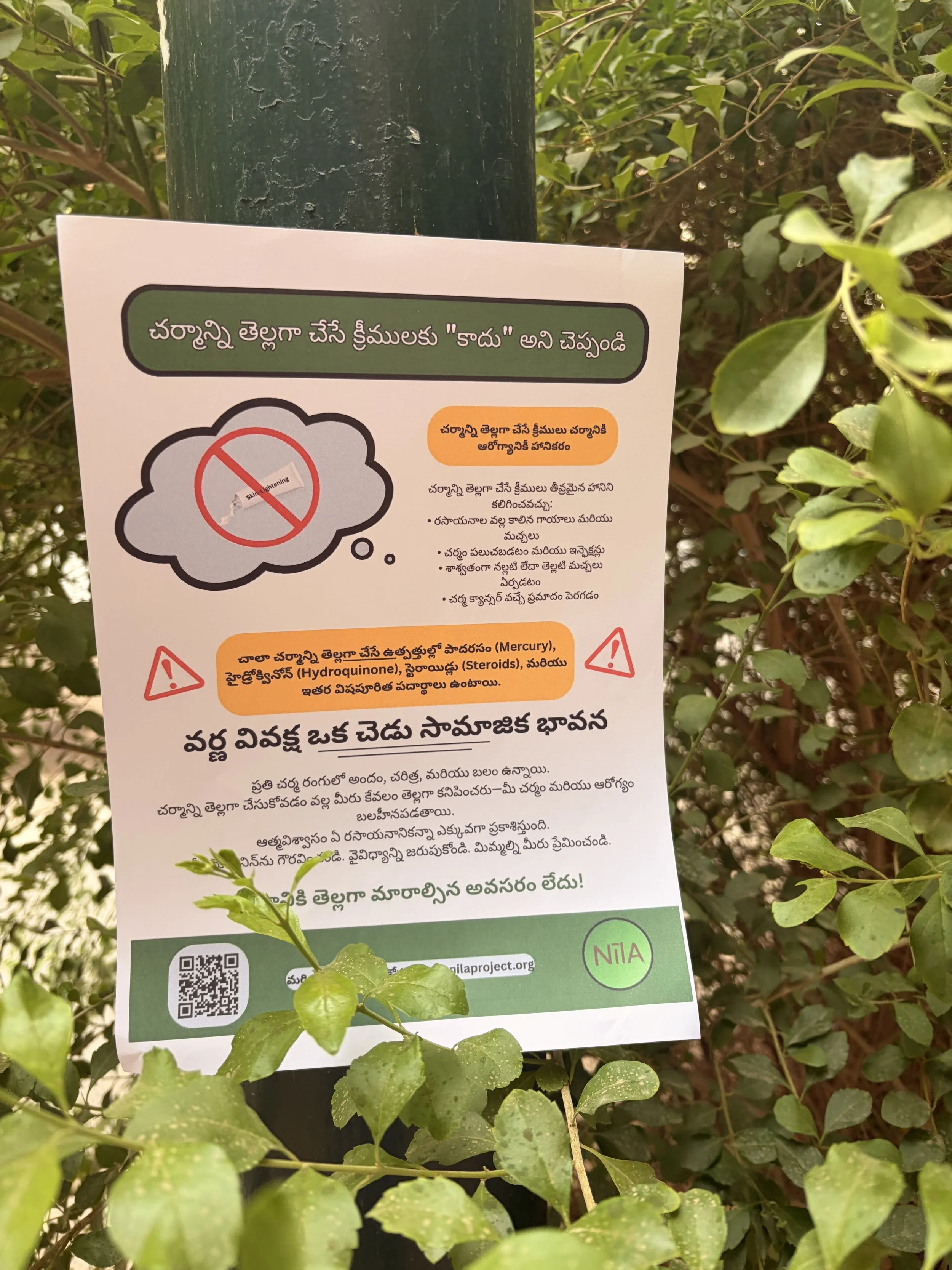 A skin health flyer attached to a tree, with leaves and branches surrounding it.
