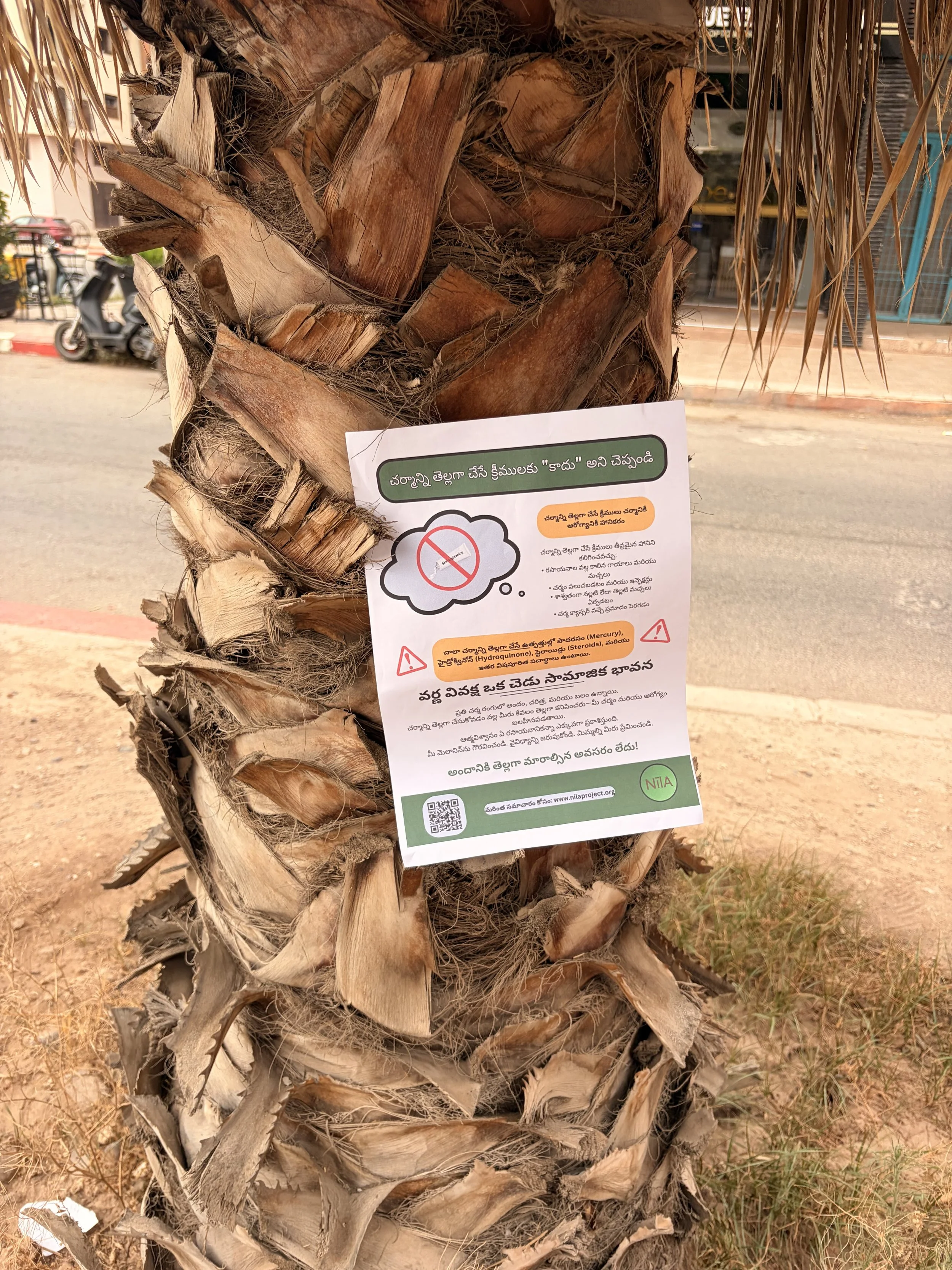 Close-up of a palm tree trunk with a skin health flyer attached