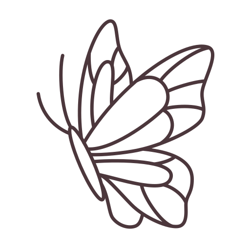 Outline drawing of a butterfly with detailed wings and body.
