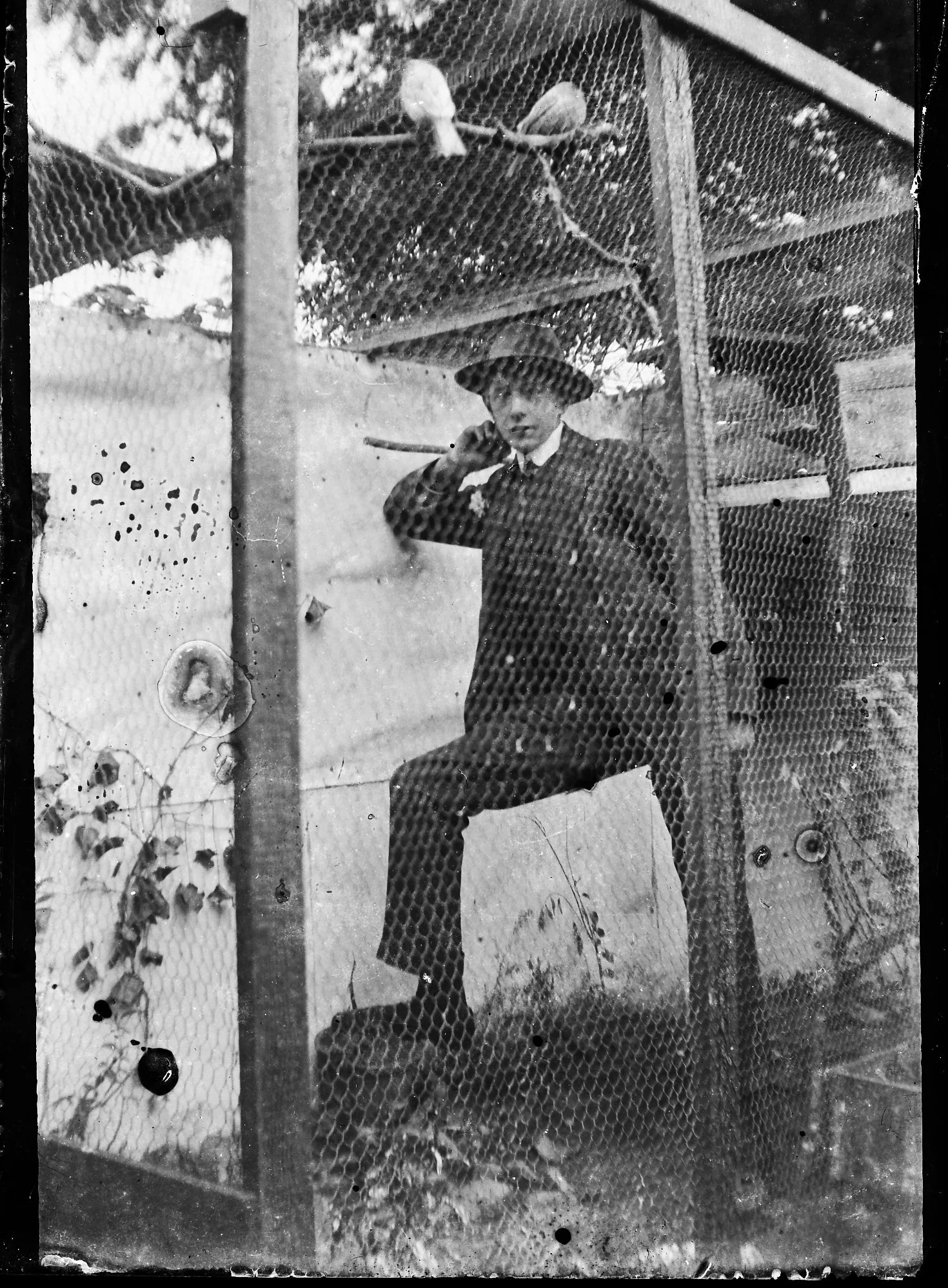 The man in the cage.jpg
