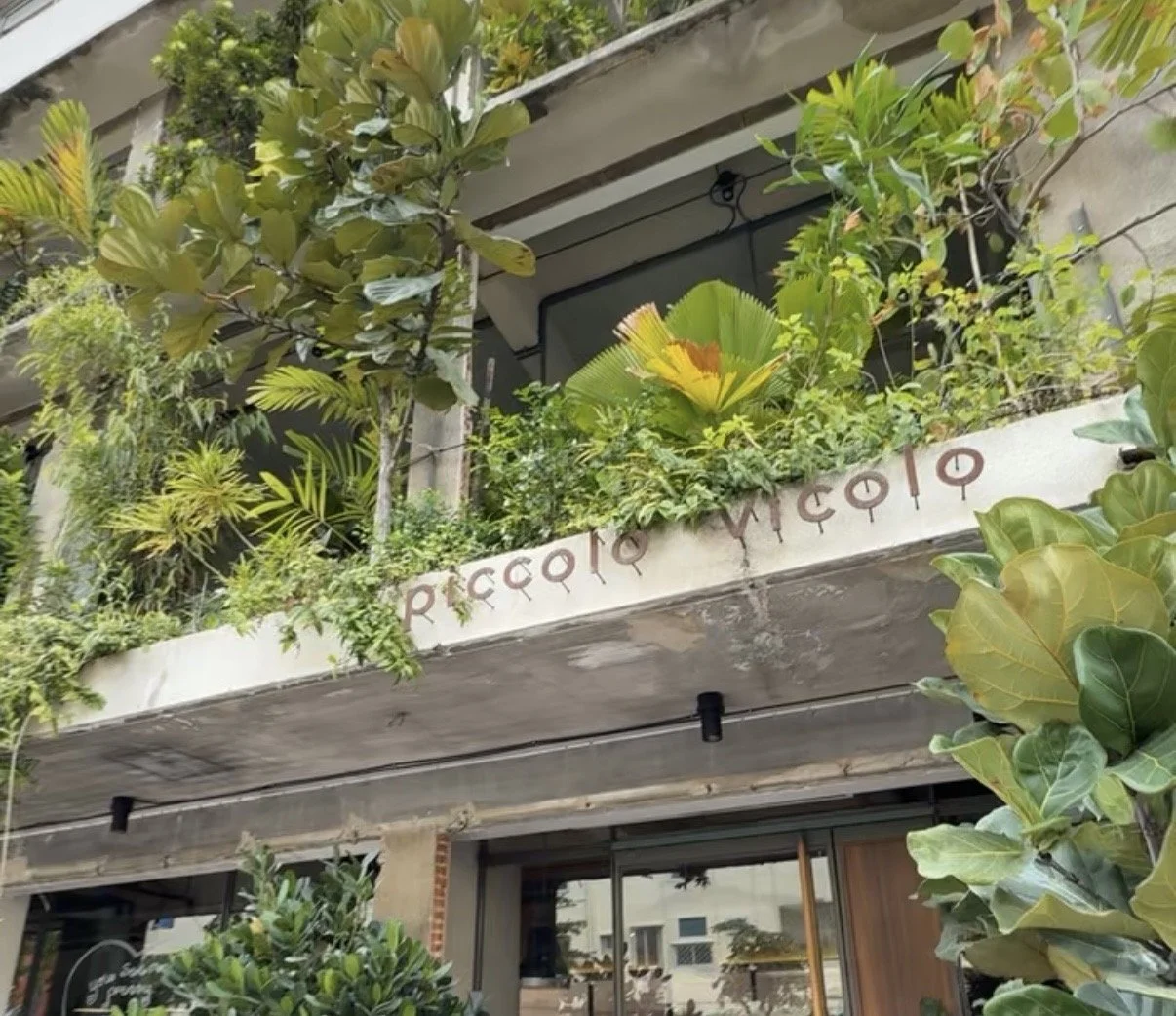 Piccolo Vicolo Bangkok: A Quiet Morning with Stoner