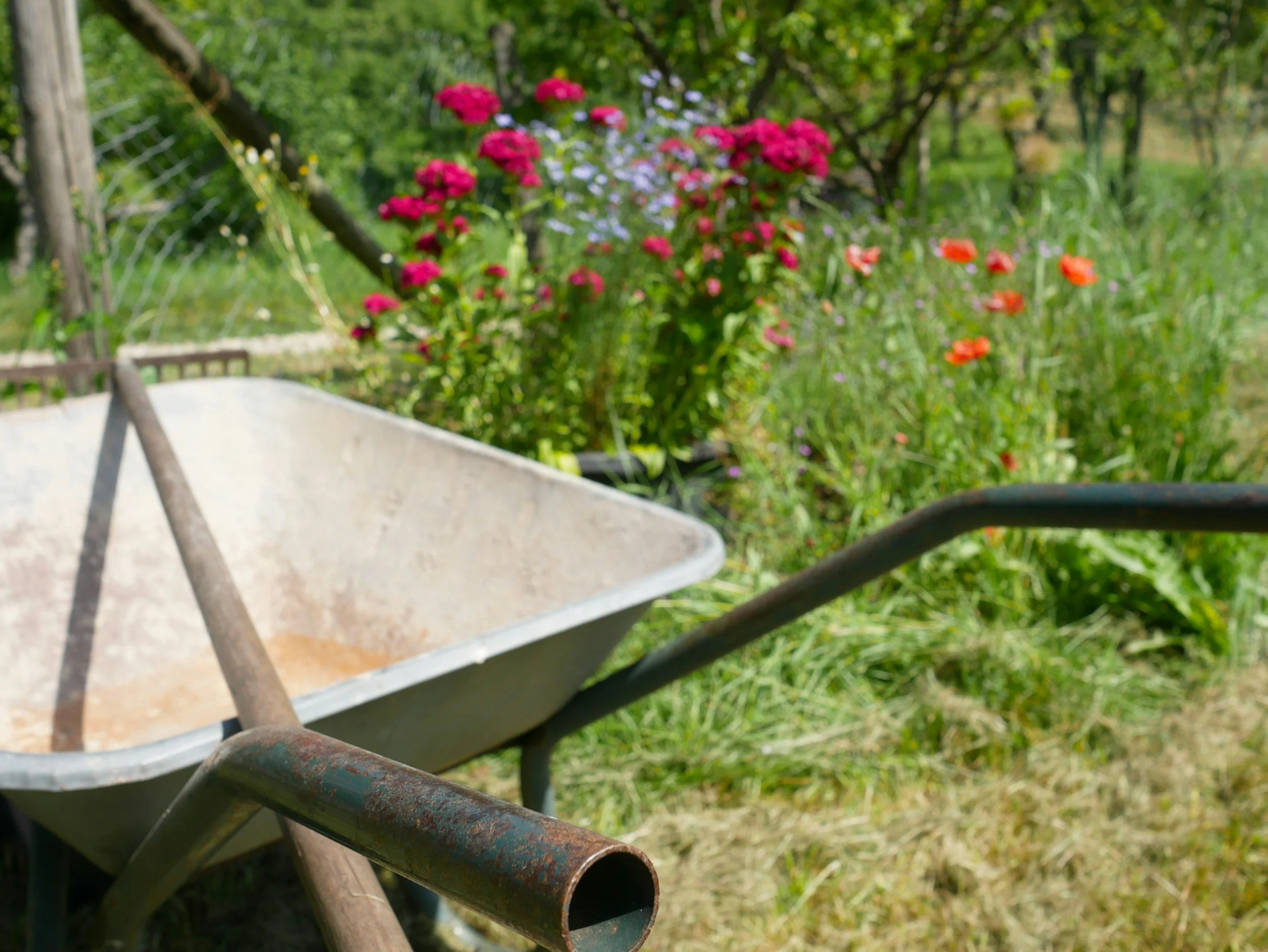 Volunteer Days August