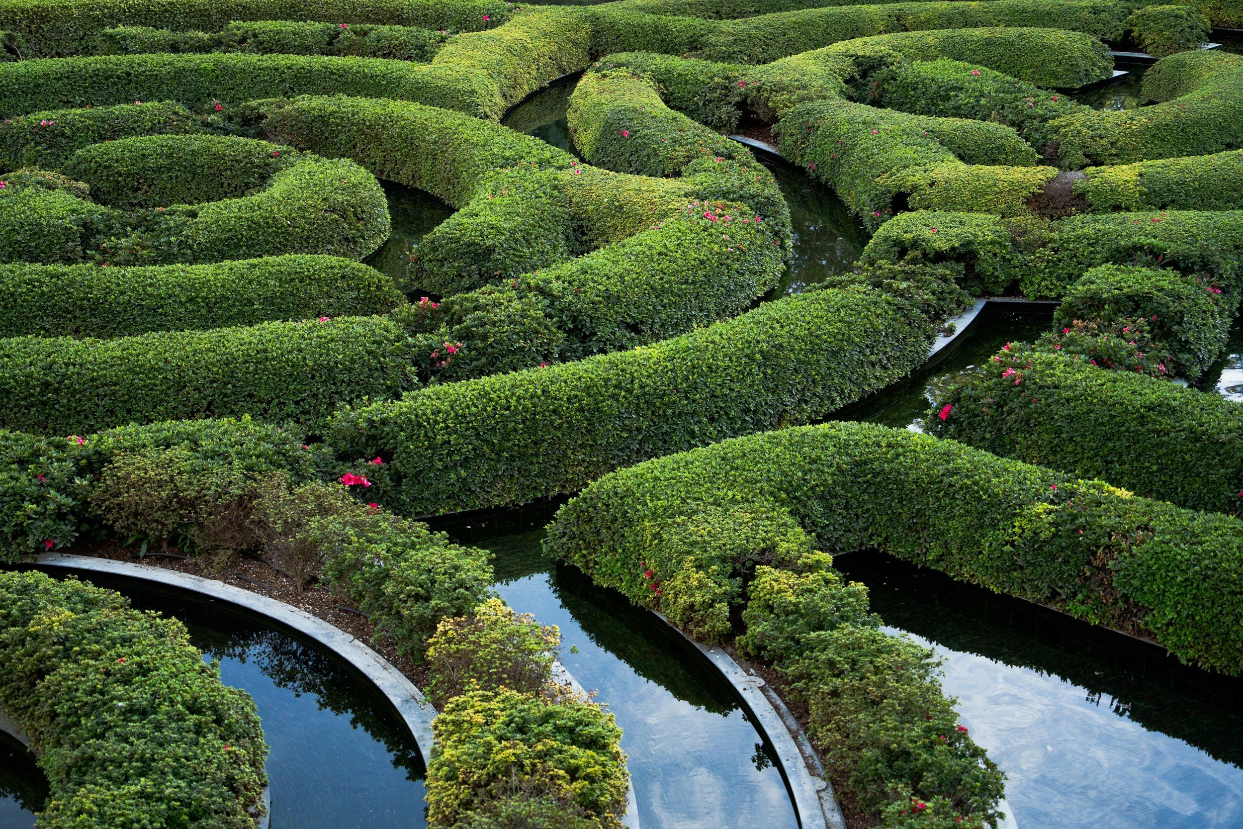 A landscaped garden with neatly trimmed, curving green bushes and water features.