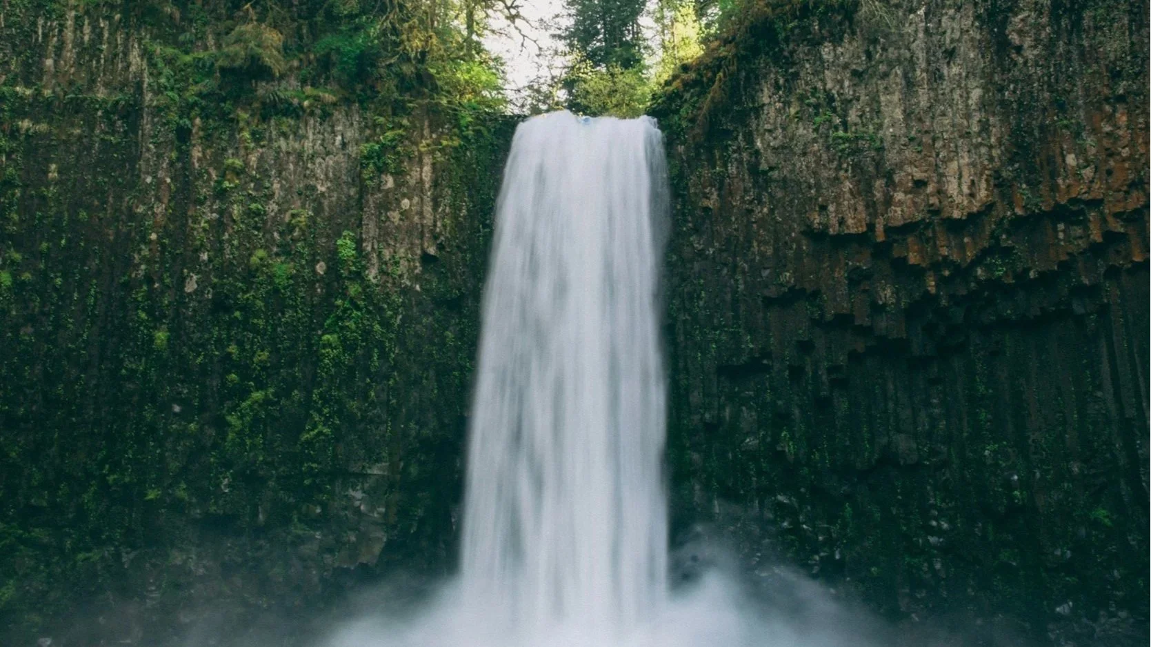 A waterfall cascading down a cliff into a pool below, surrounded by lush green trees and vegetation.