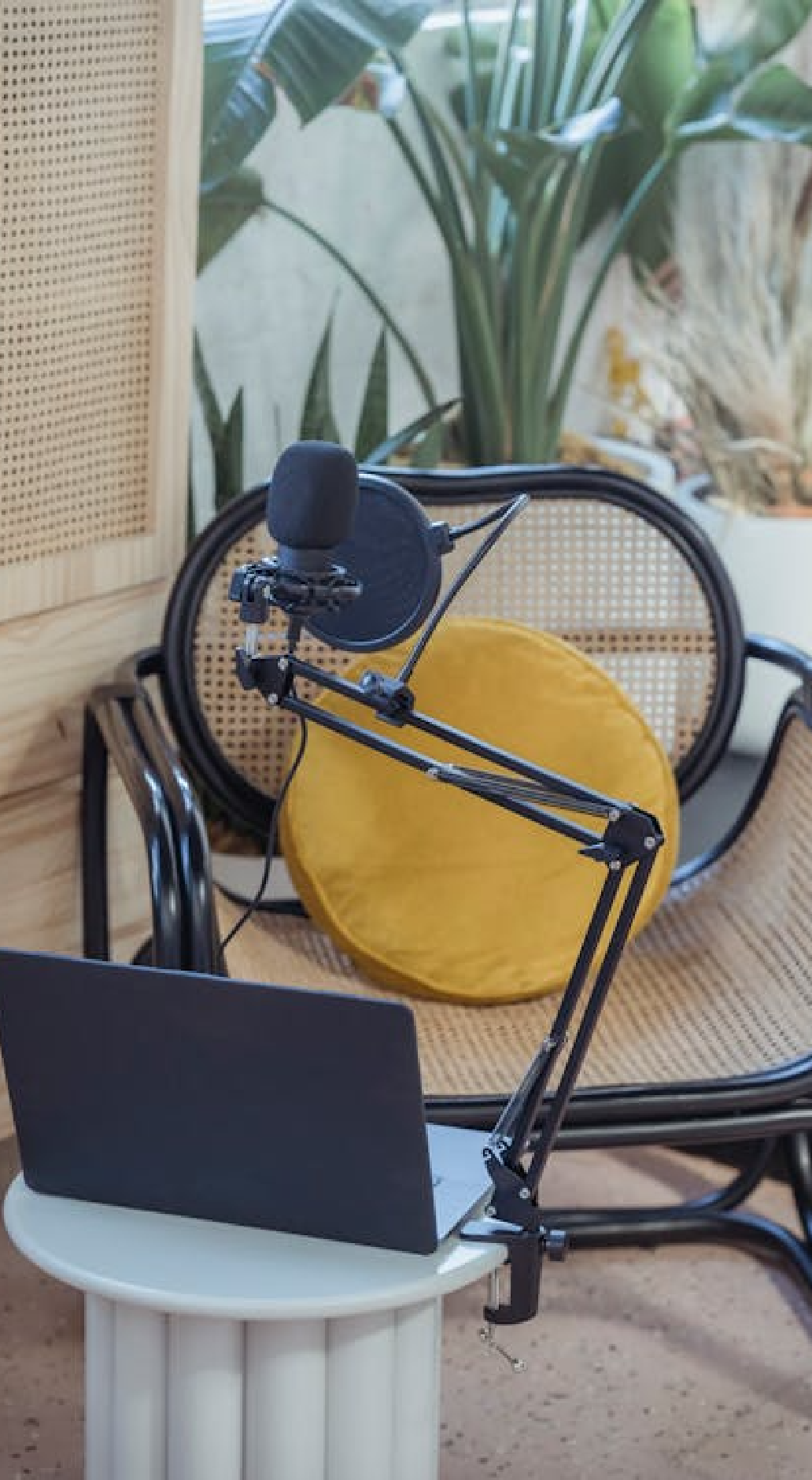 A recording setup with a microphone on a shock mount and pop filter, attached to an adjustable arm, positioned in front of a laptop on a small round white table. Behind, there is a wooden and metal chair with a yellow cushion, and large green plants in the background.