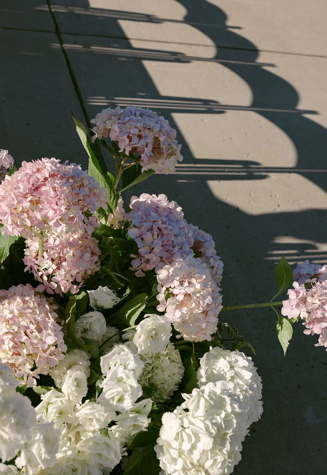 Haley + William - Sonoma