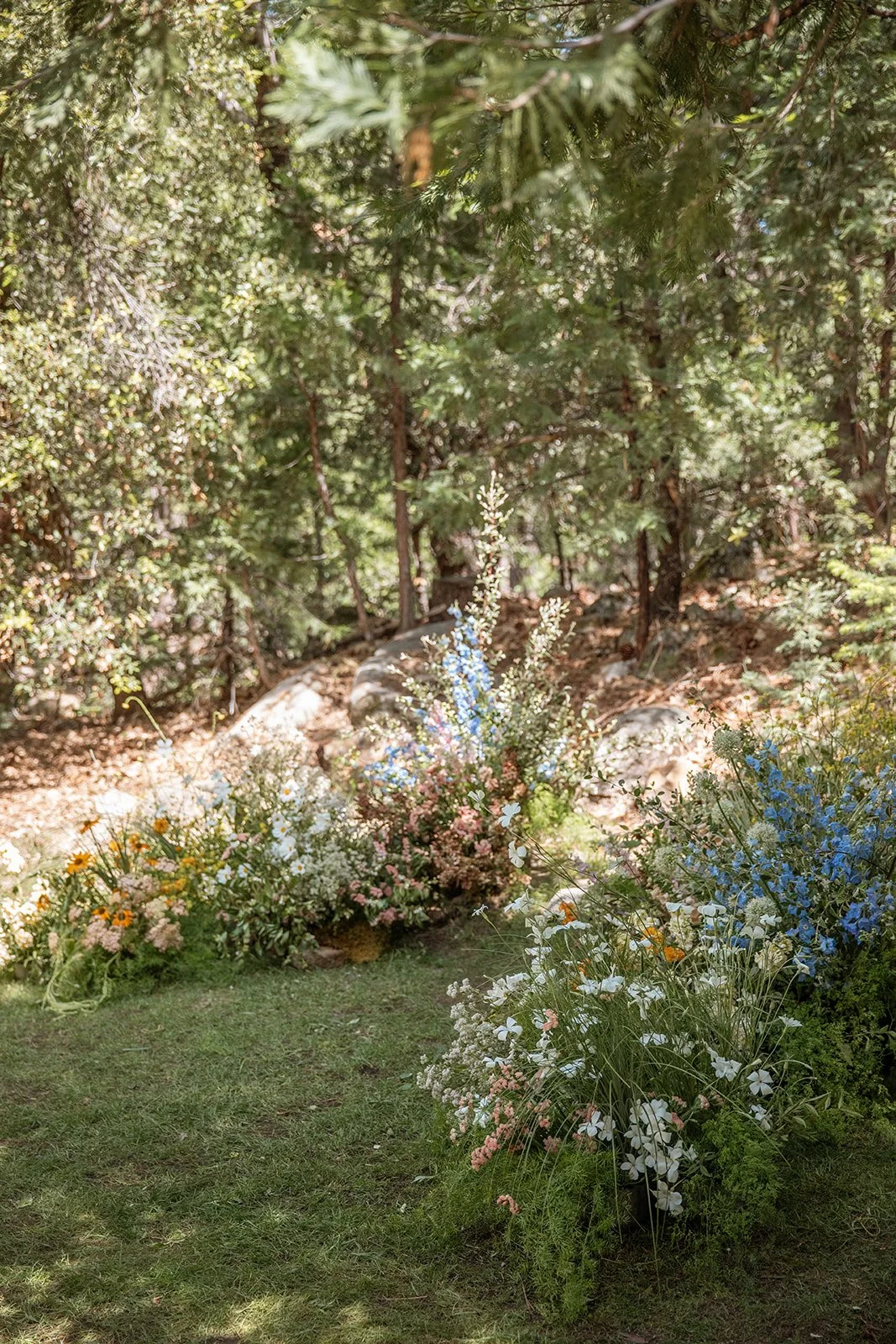 Sierra + Reid - Evergreen Lodge, CA