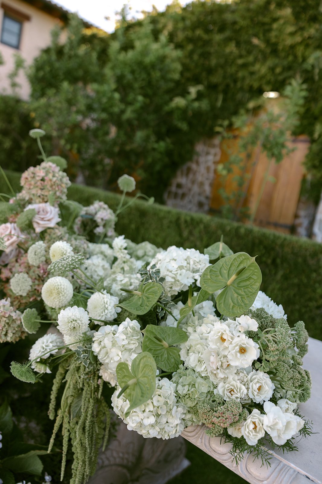 Haley + William - Sonoma