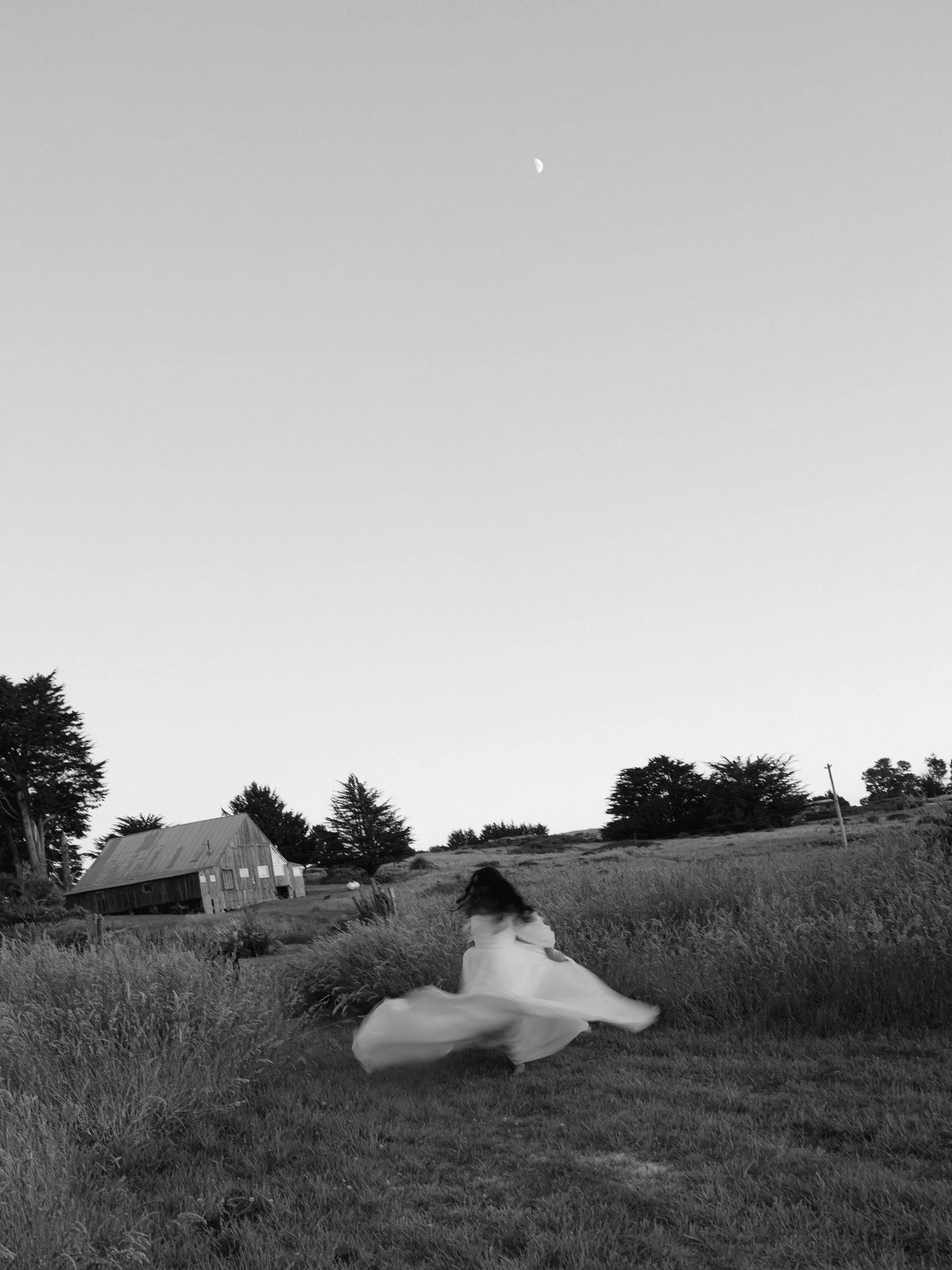 AllisonStoddard_Bry+MattReception-157.jpg