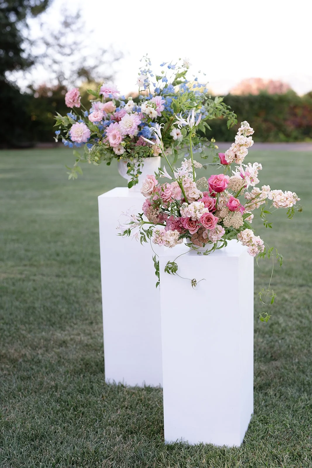 HannahLillianPhoto2024-269.jpg