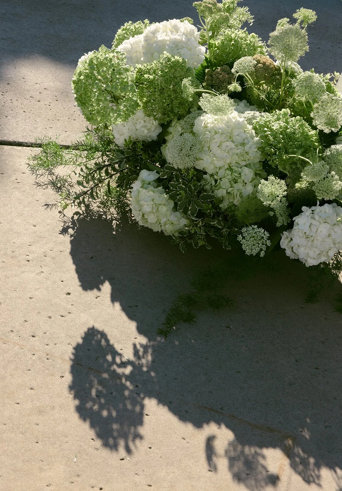 Haley + William - Sonoma