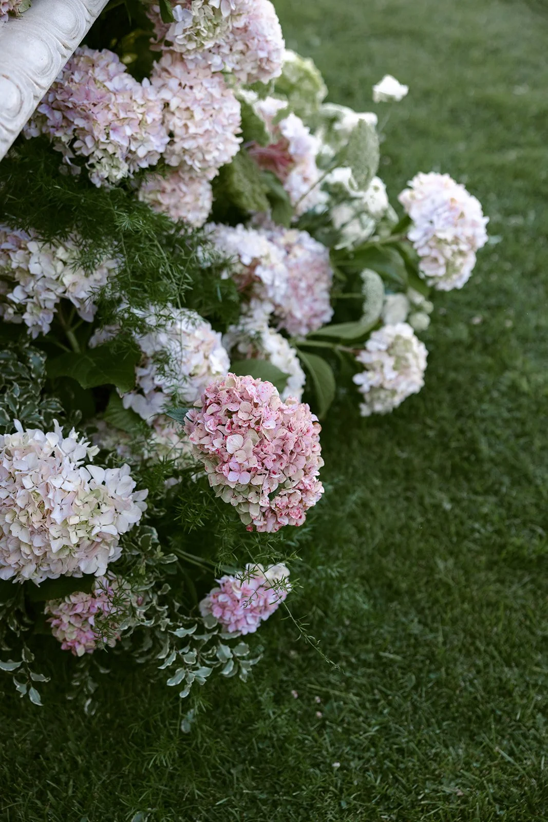 Haley + William - Sonoma