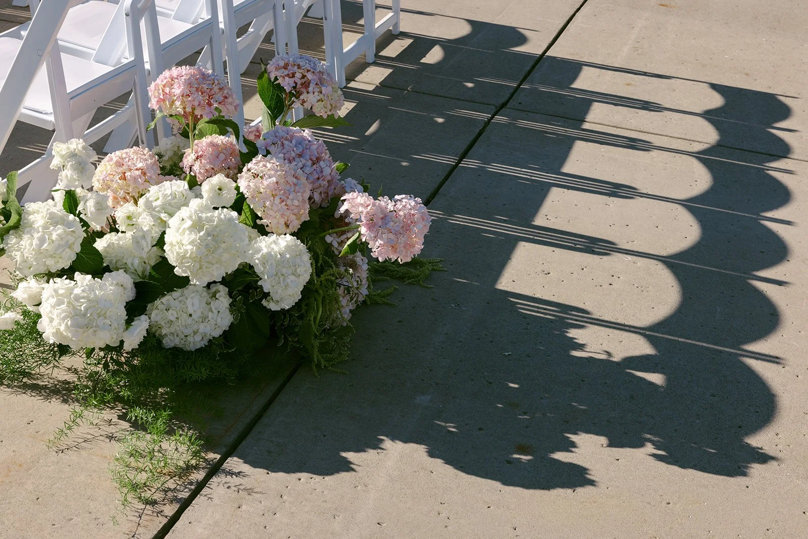 Haley + William - Sonoma