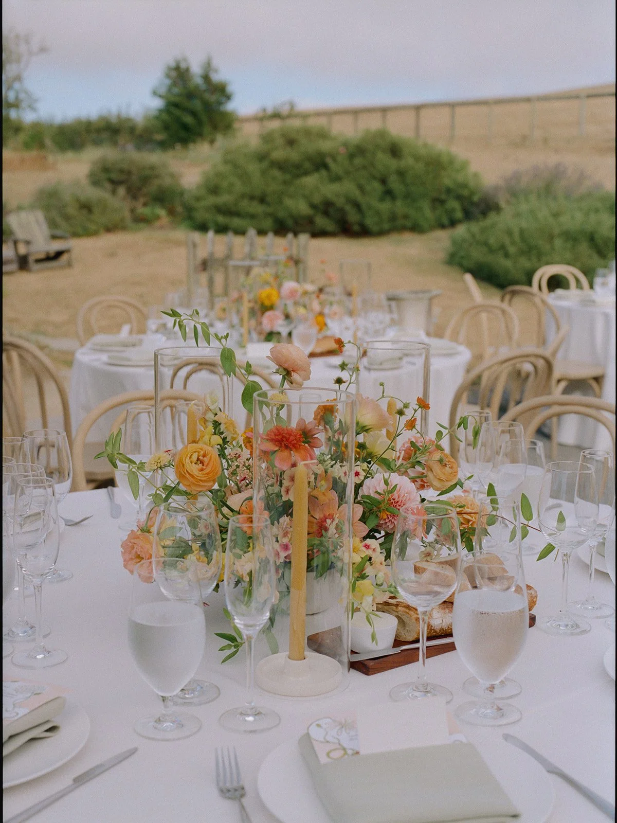 Laure + Liam - Olympia Valley Estate 