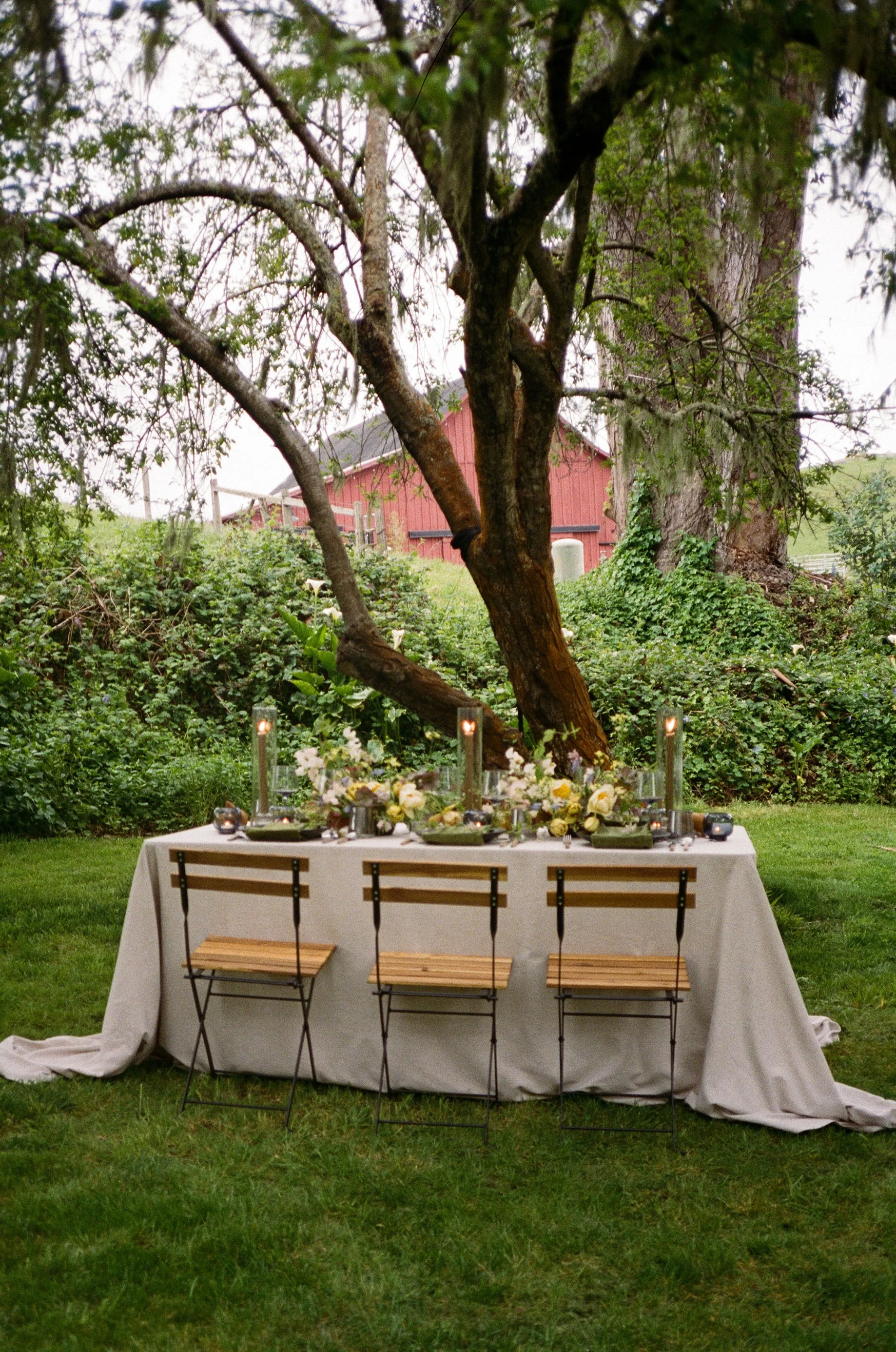 KollerDesignStyledShootFILM-7.jpg