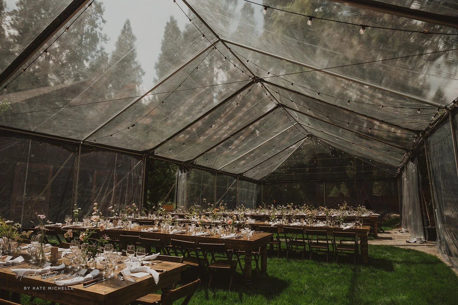 D60_Yosemite_wedding_photographer__KMP7928.jpg